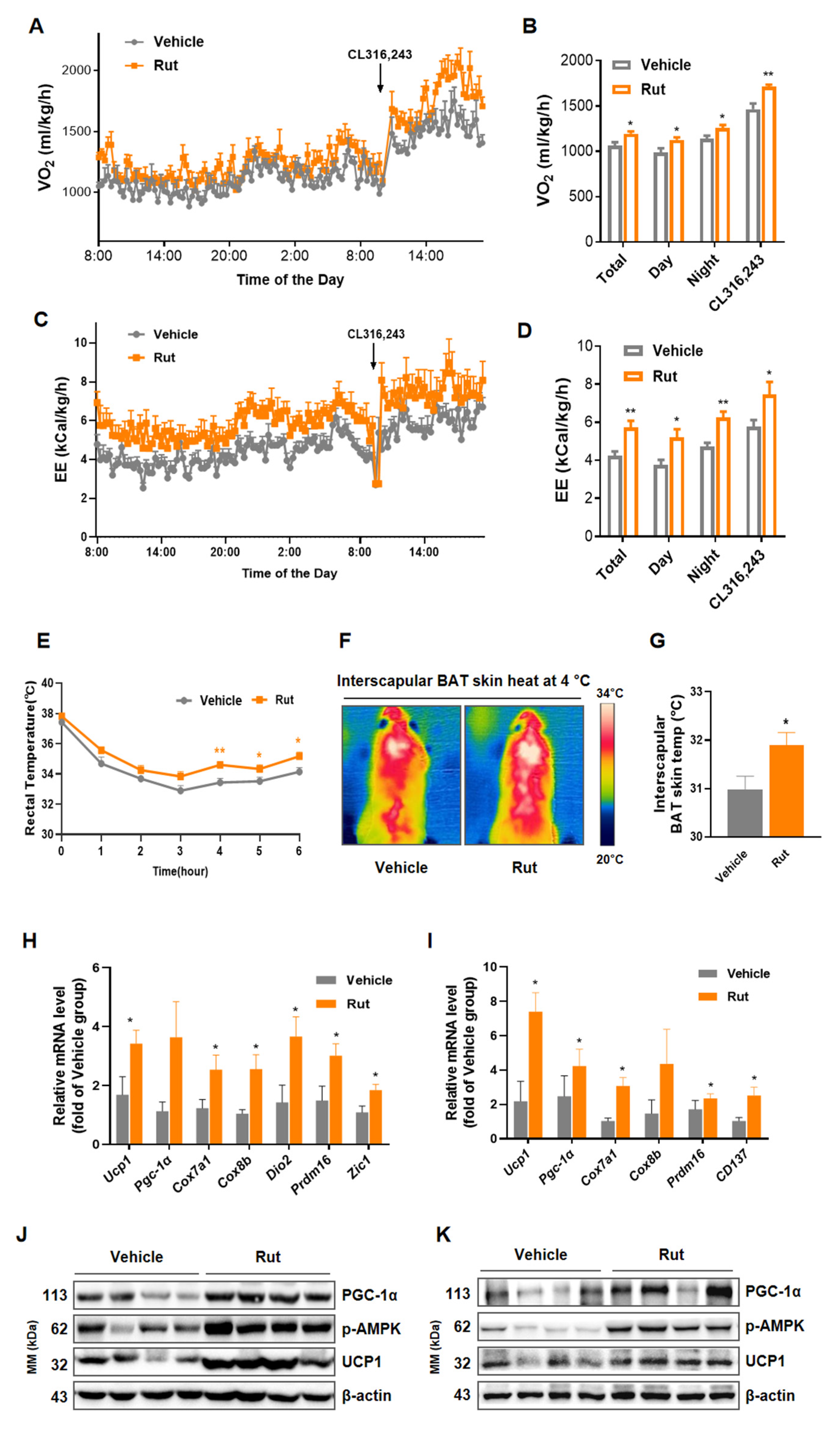Pharmaceuticals 15 00469 g004