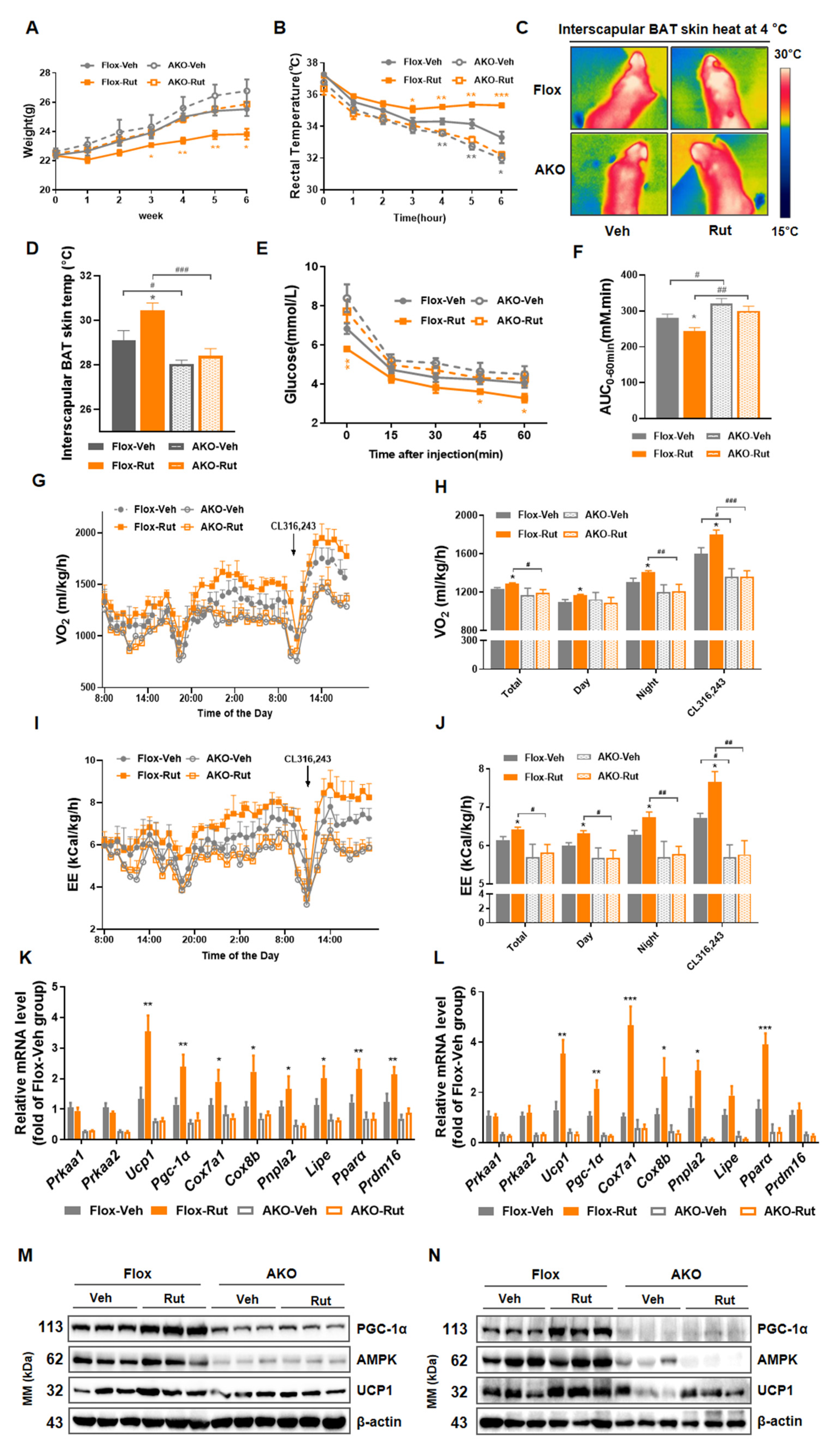 Pharmaceuticals 15 00469 g007