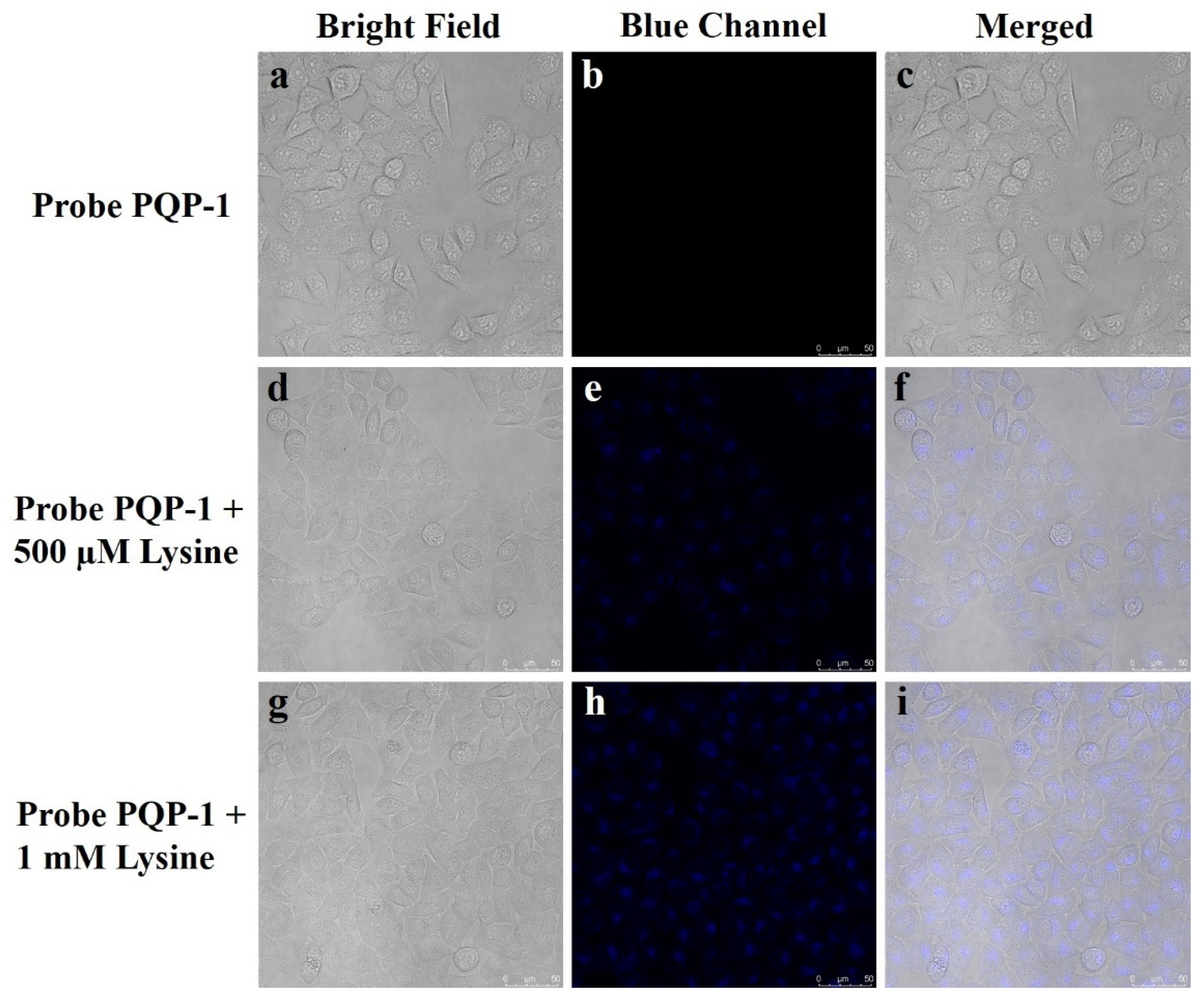 Pharmaceuticals 15 00474 g006