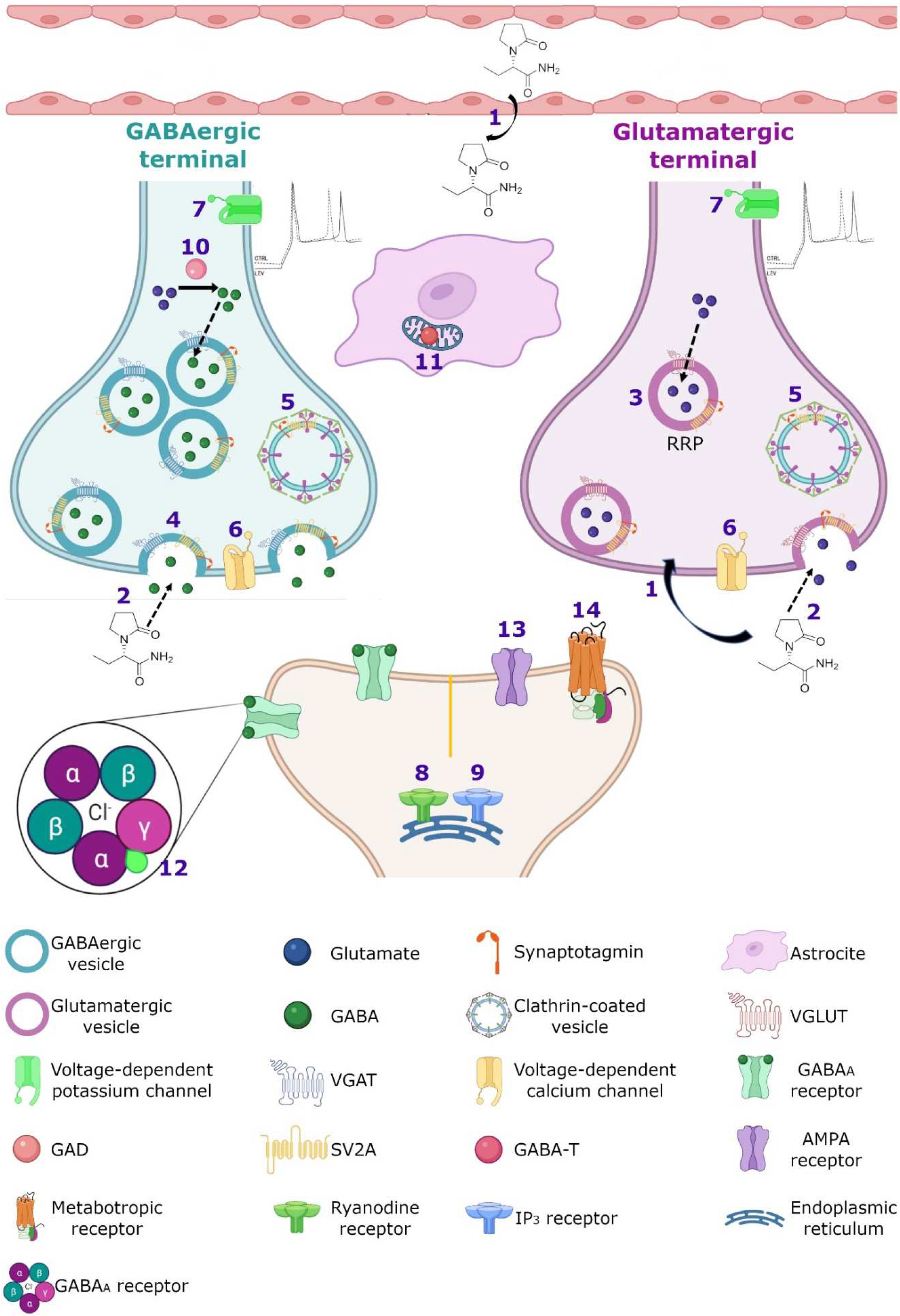 Pharmaceuticals 15 00475 g004