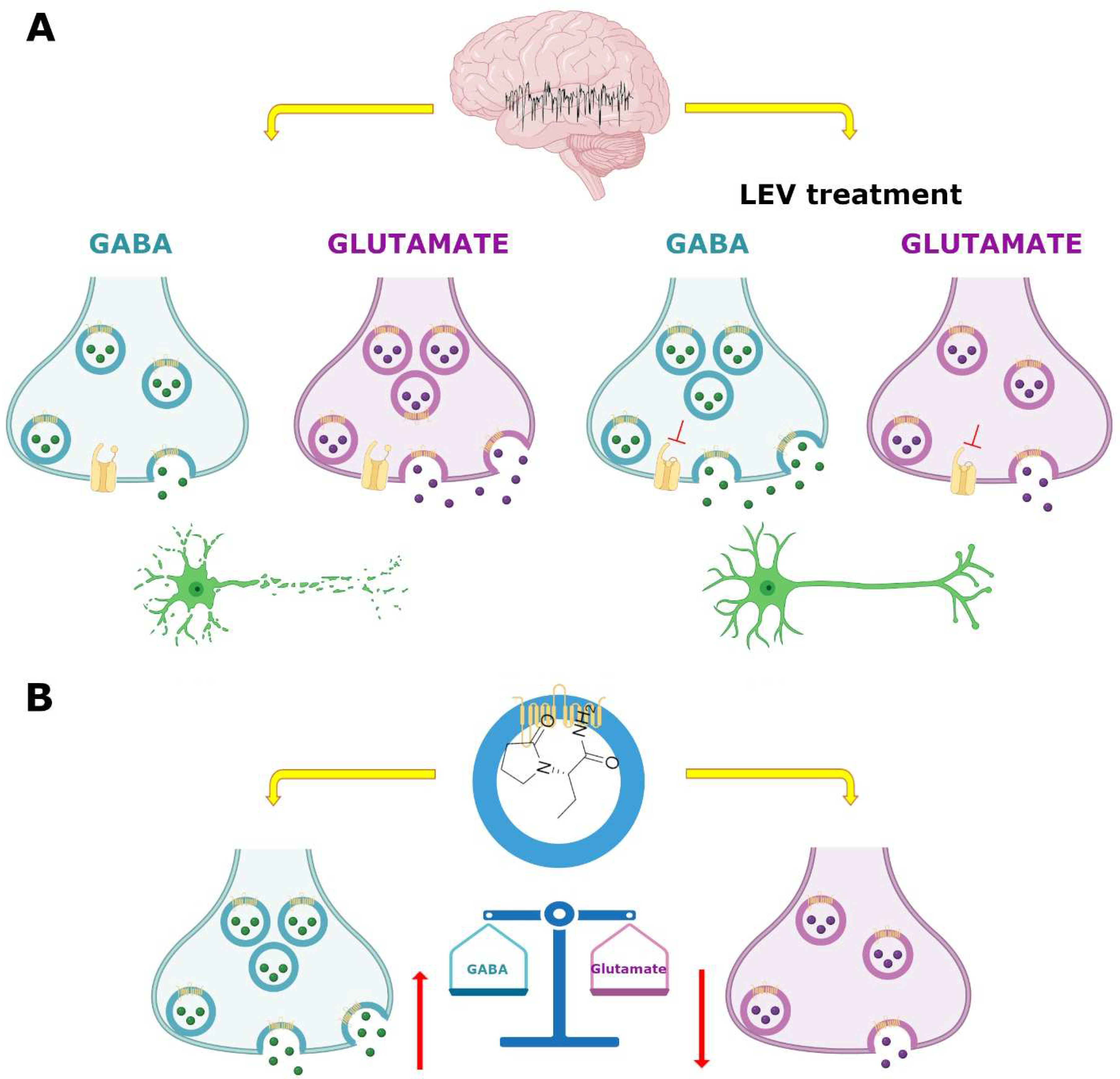 Pharmaceuticals 15 00475 g005