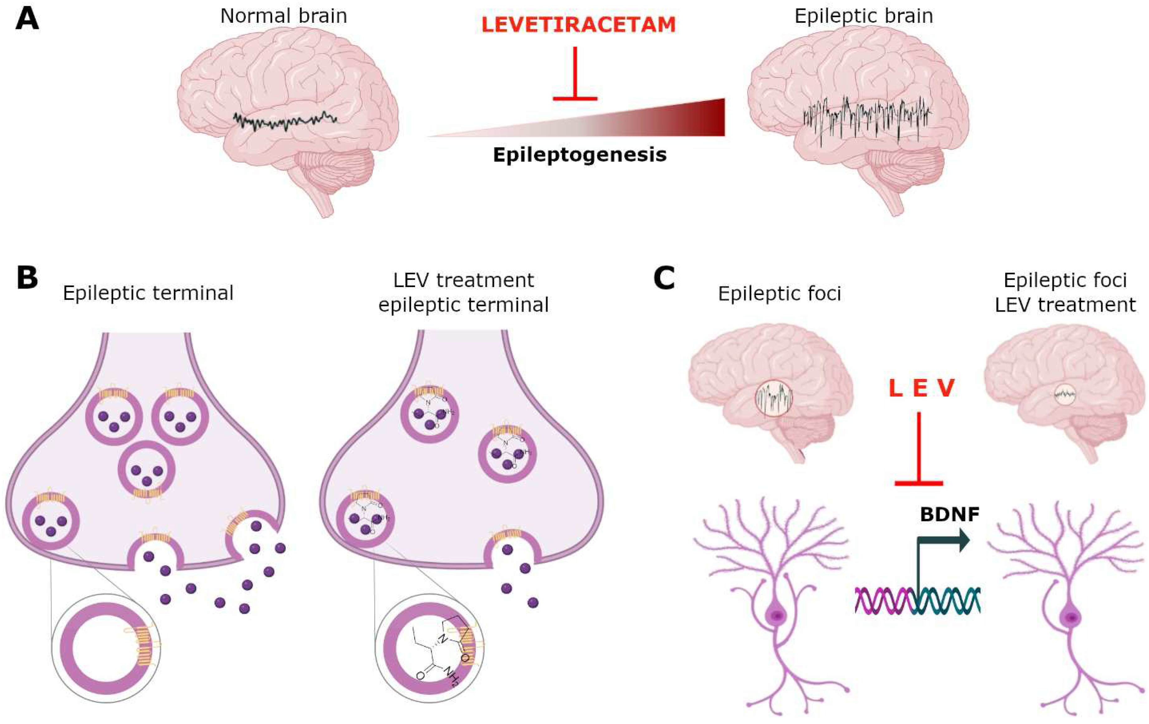 Pharmaceuticals 15 00475 g006