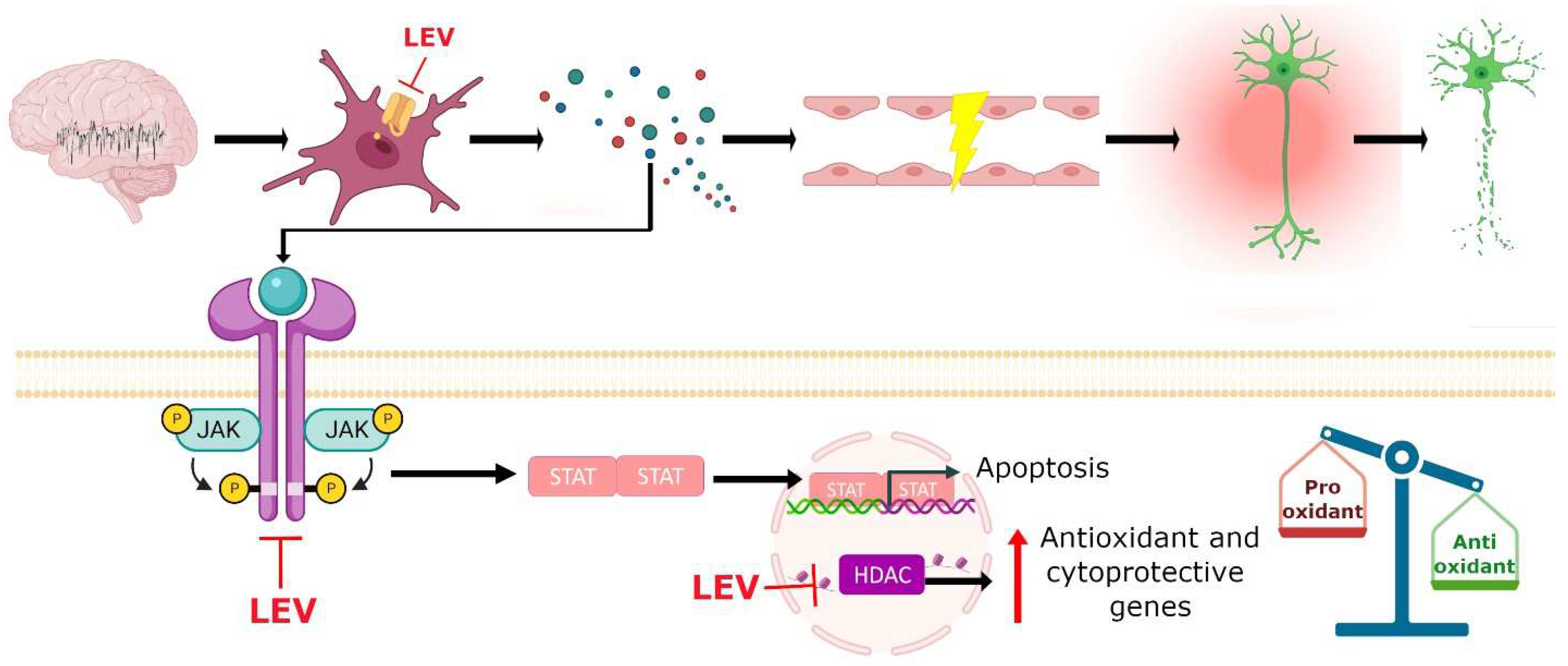 Pharmaceuticals 15 00475 g007