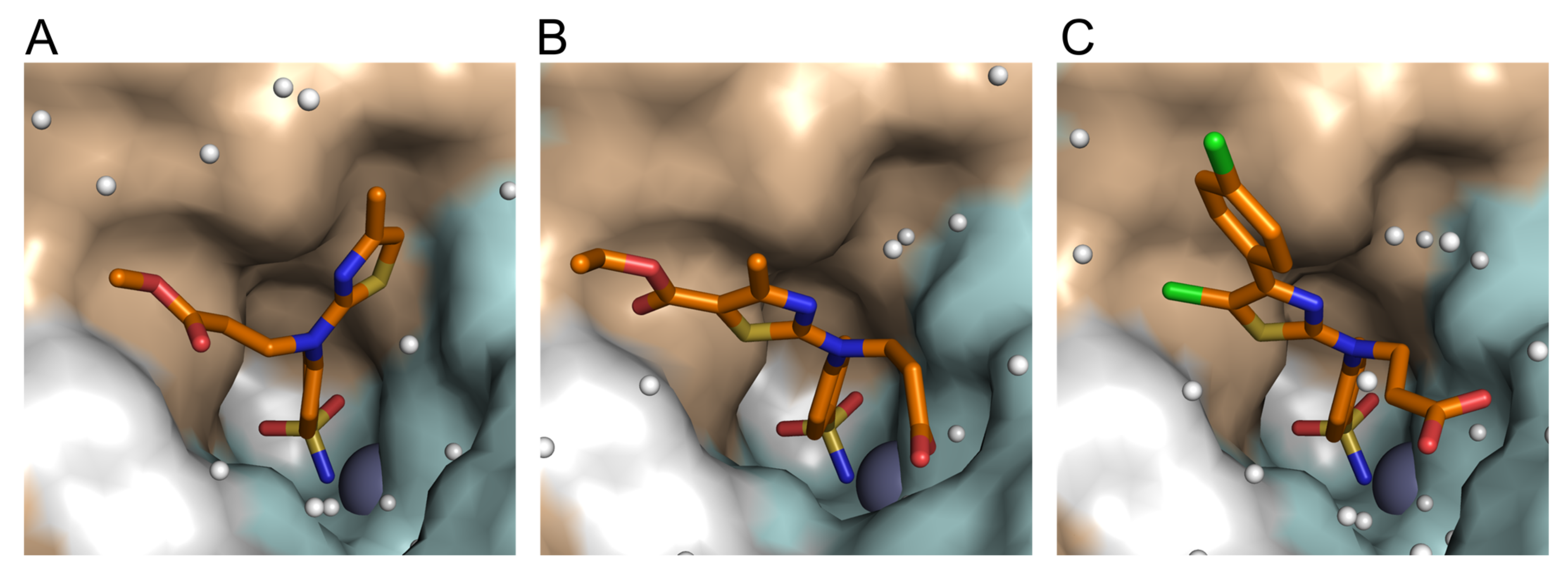 Pharmaceuticals 15 00477 g005