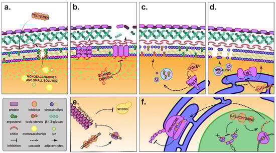 Pharmaceuticals 15 00482 g001
