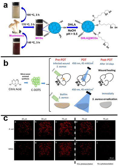 Pharmaceuticals 15 00487 g003 550