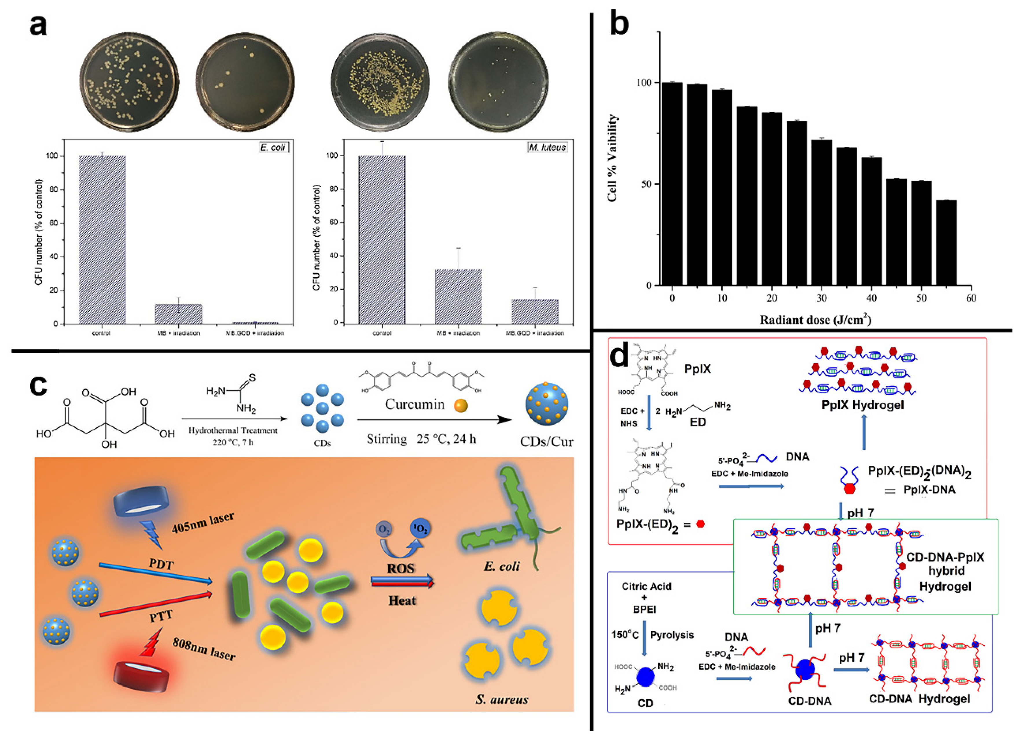 Pharmaceuticals 15 00487 g006