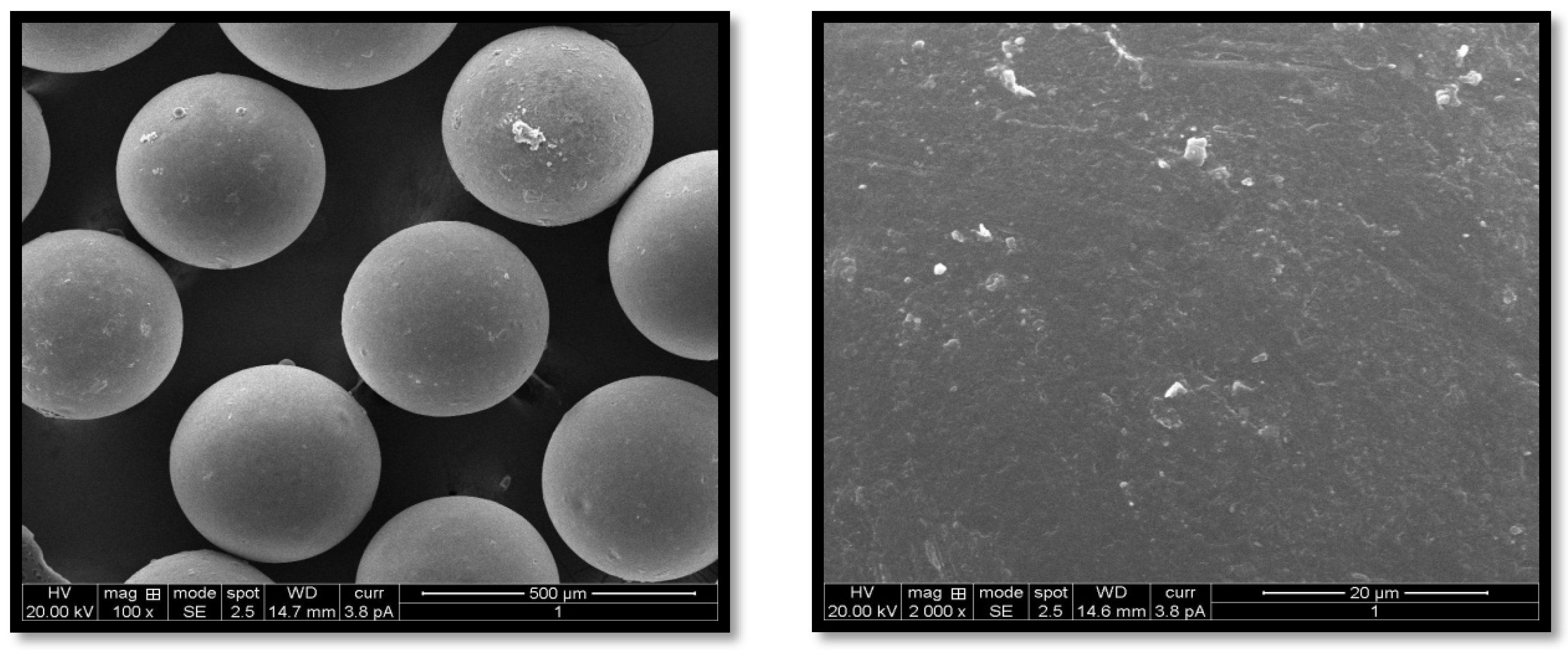 Pharmaceuticals 15 00491 g005