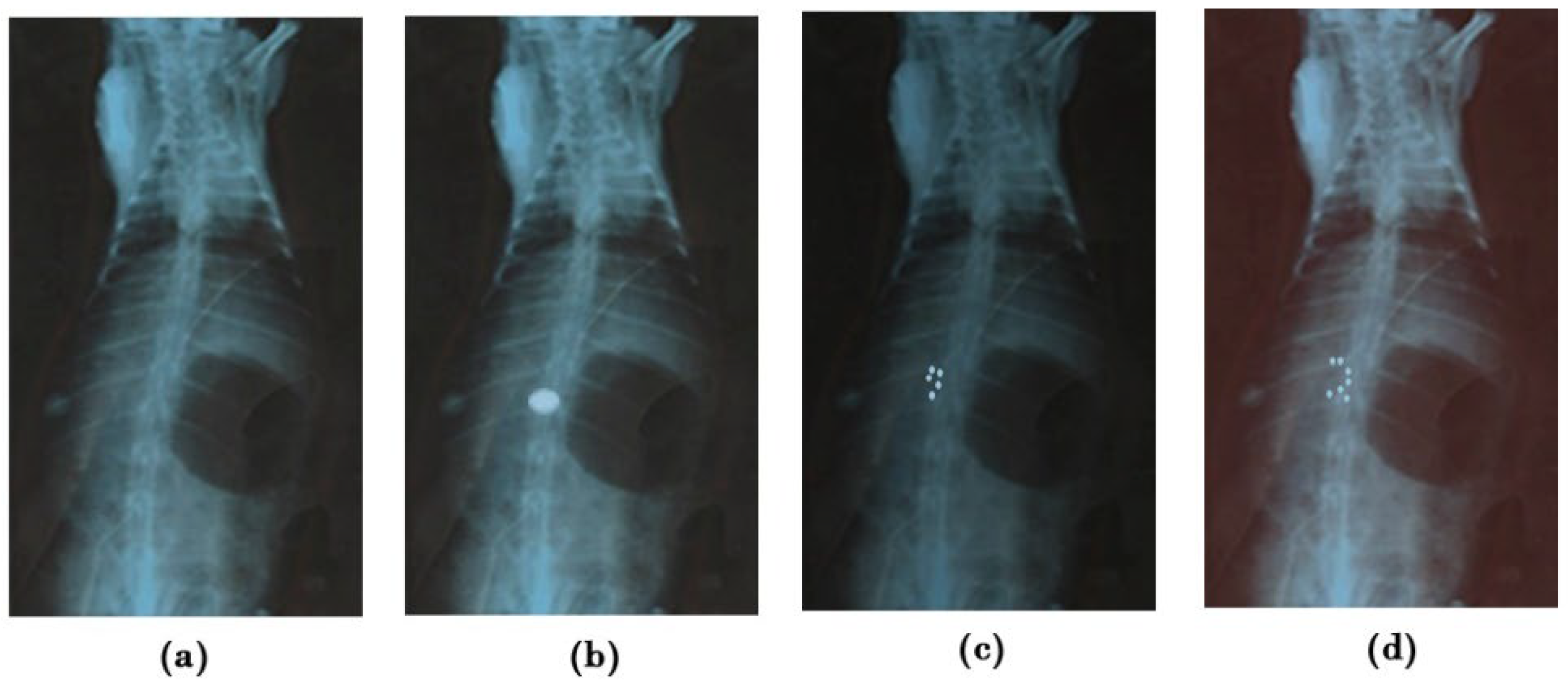 Pharmaceuticals 15 00491 g008