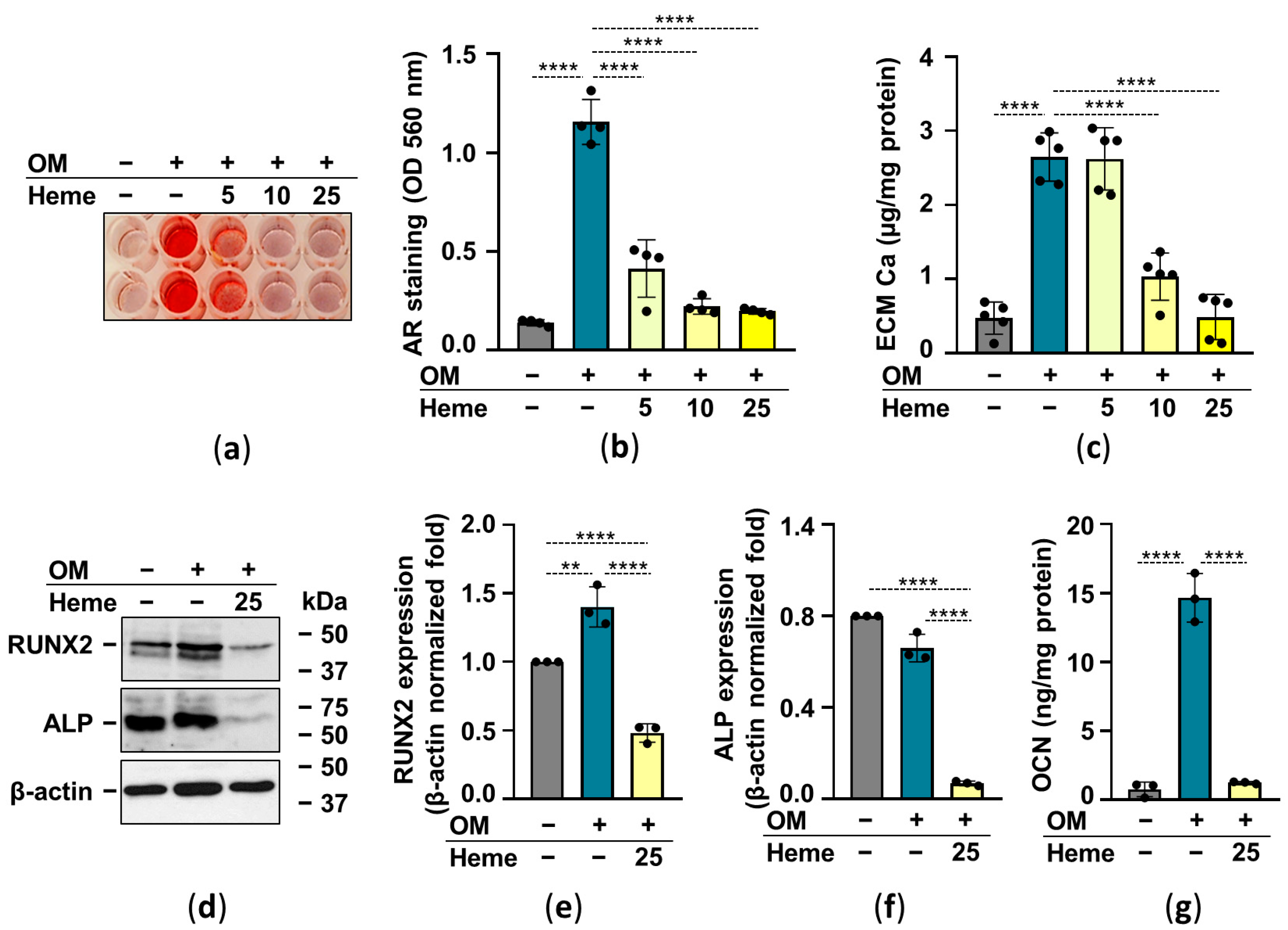 Pharmaceuticals 15 00493 g004