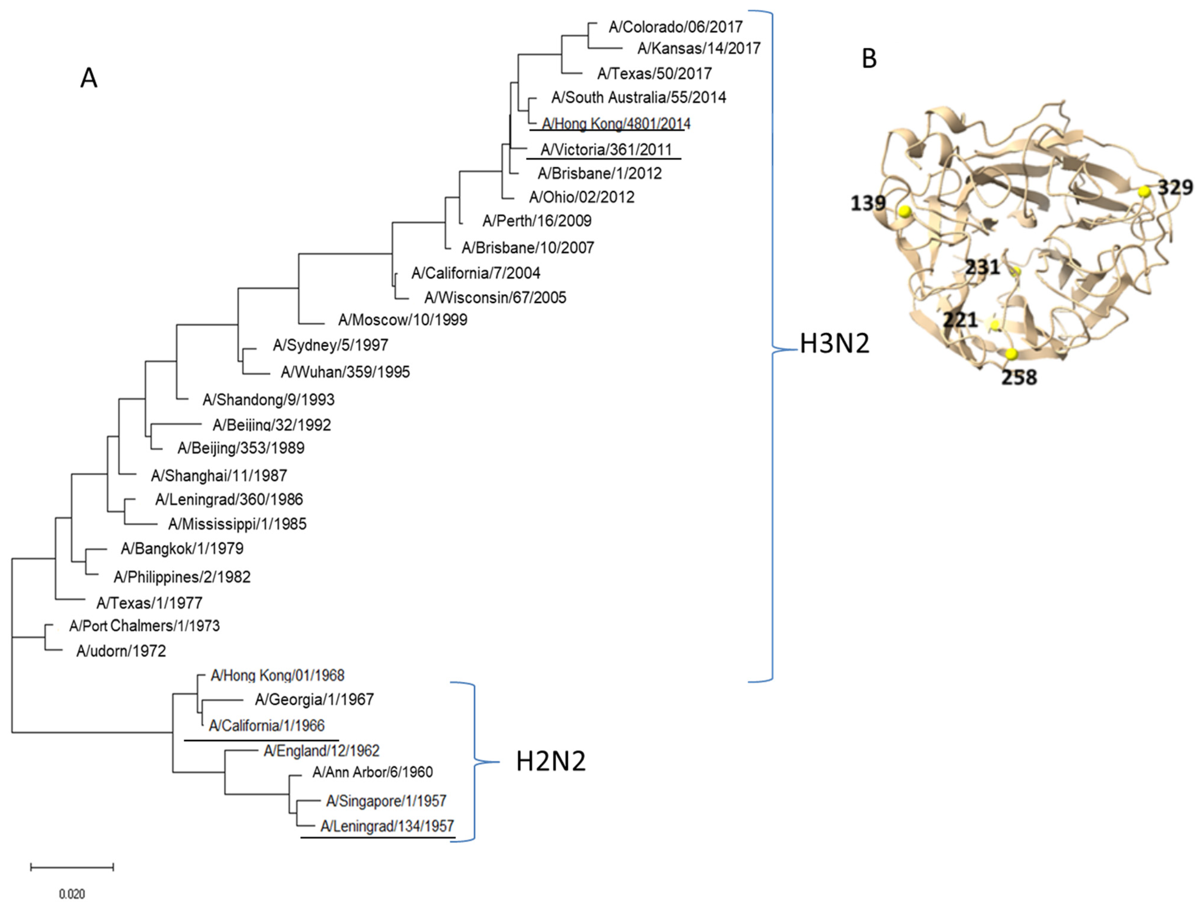 Pharmaceuticals 15 00498 g001 Pharmaceuticals 15 00498 g001