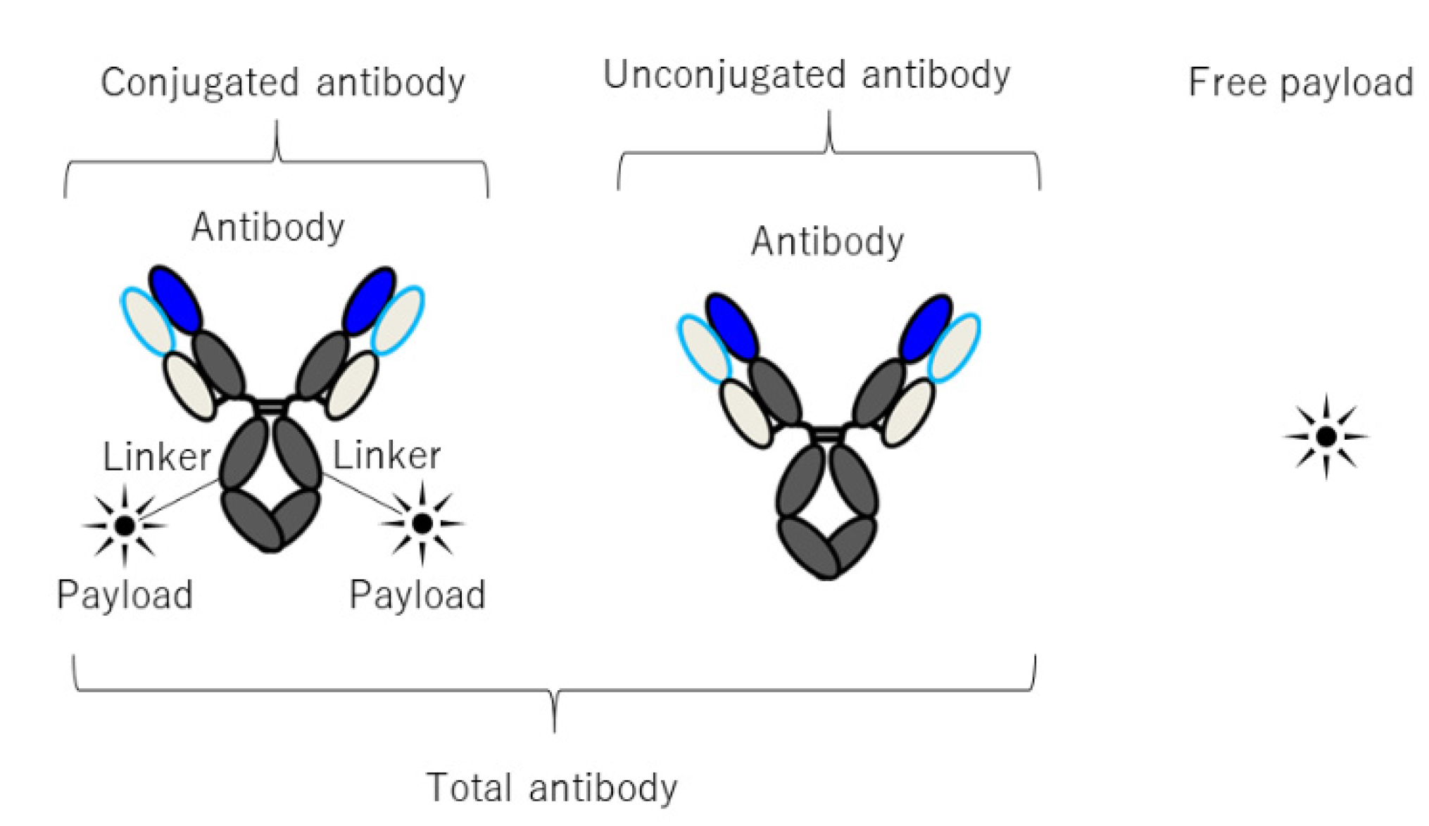 Pharmaceuticals 15 00508 g004