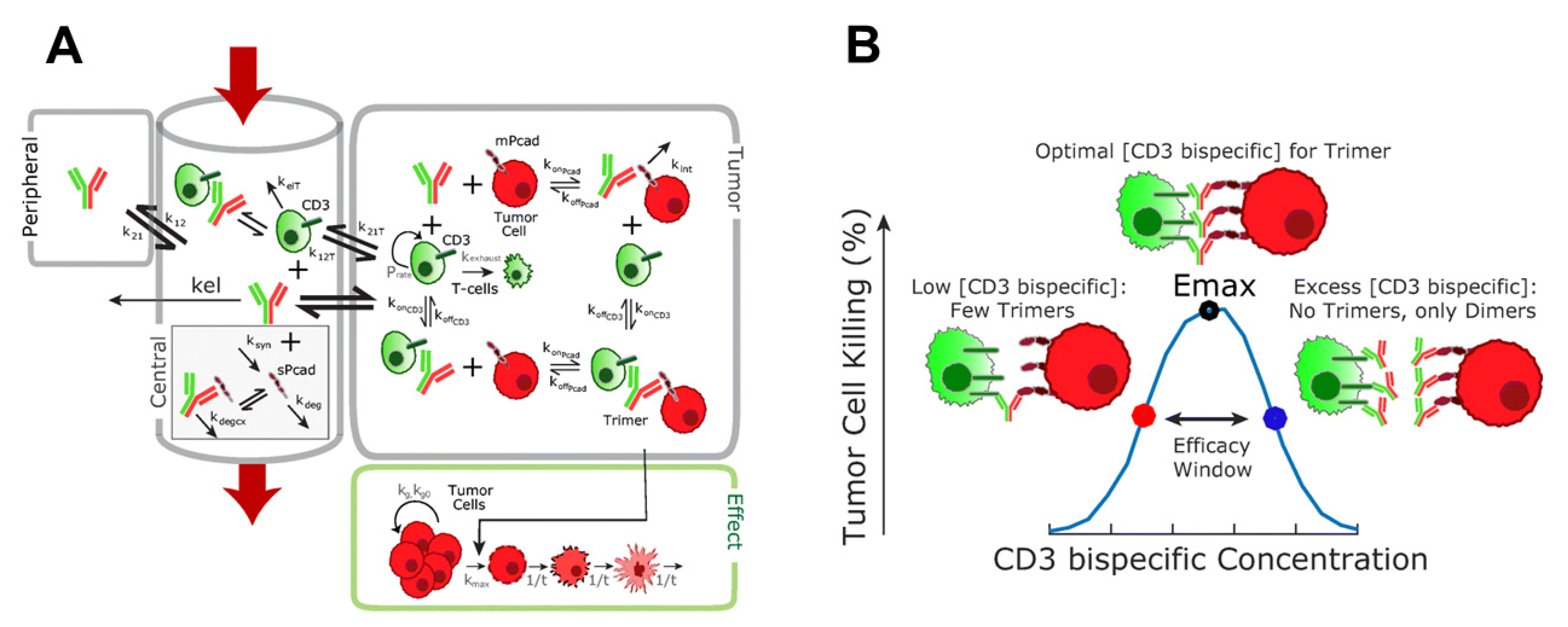 Pharmaceuticals 15 00508 g005