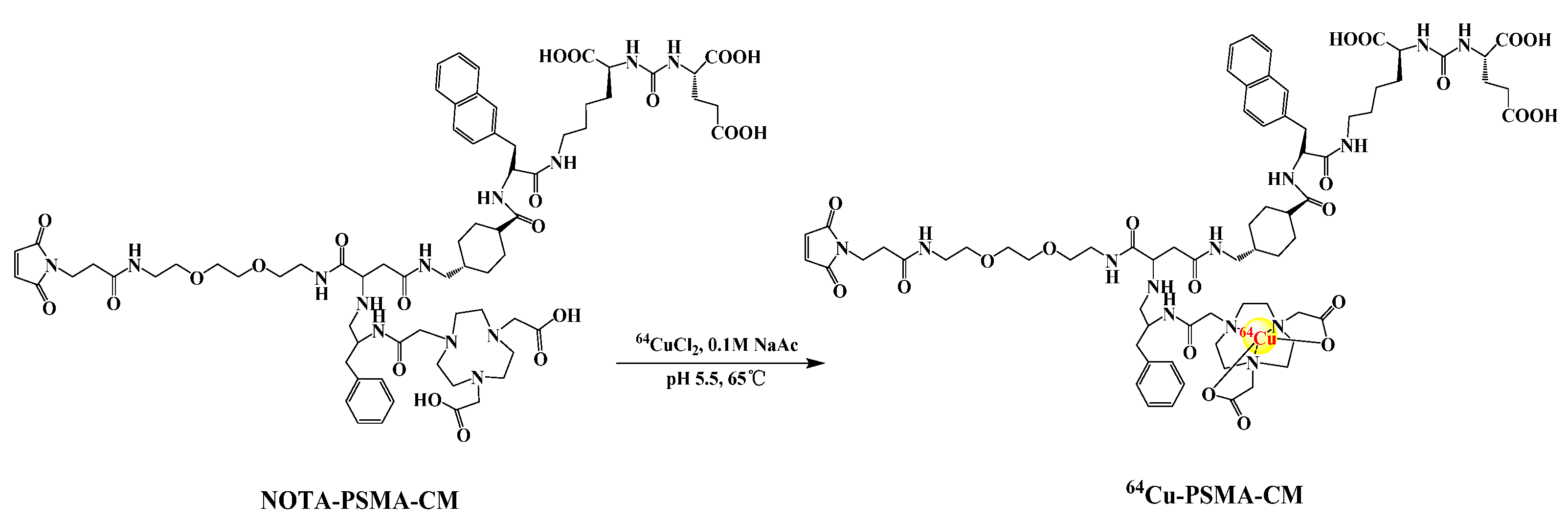 Pharmaceuticals 15 00513 g001