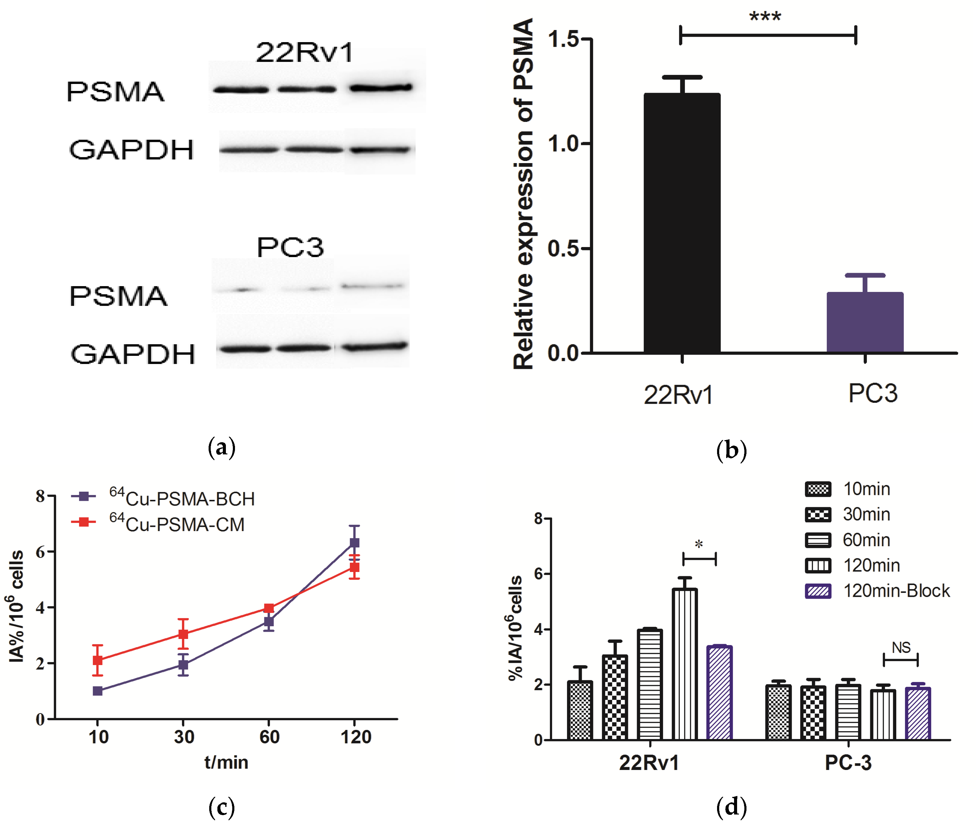 Pharmaceuticals 15 00513 g003