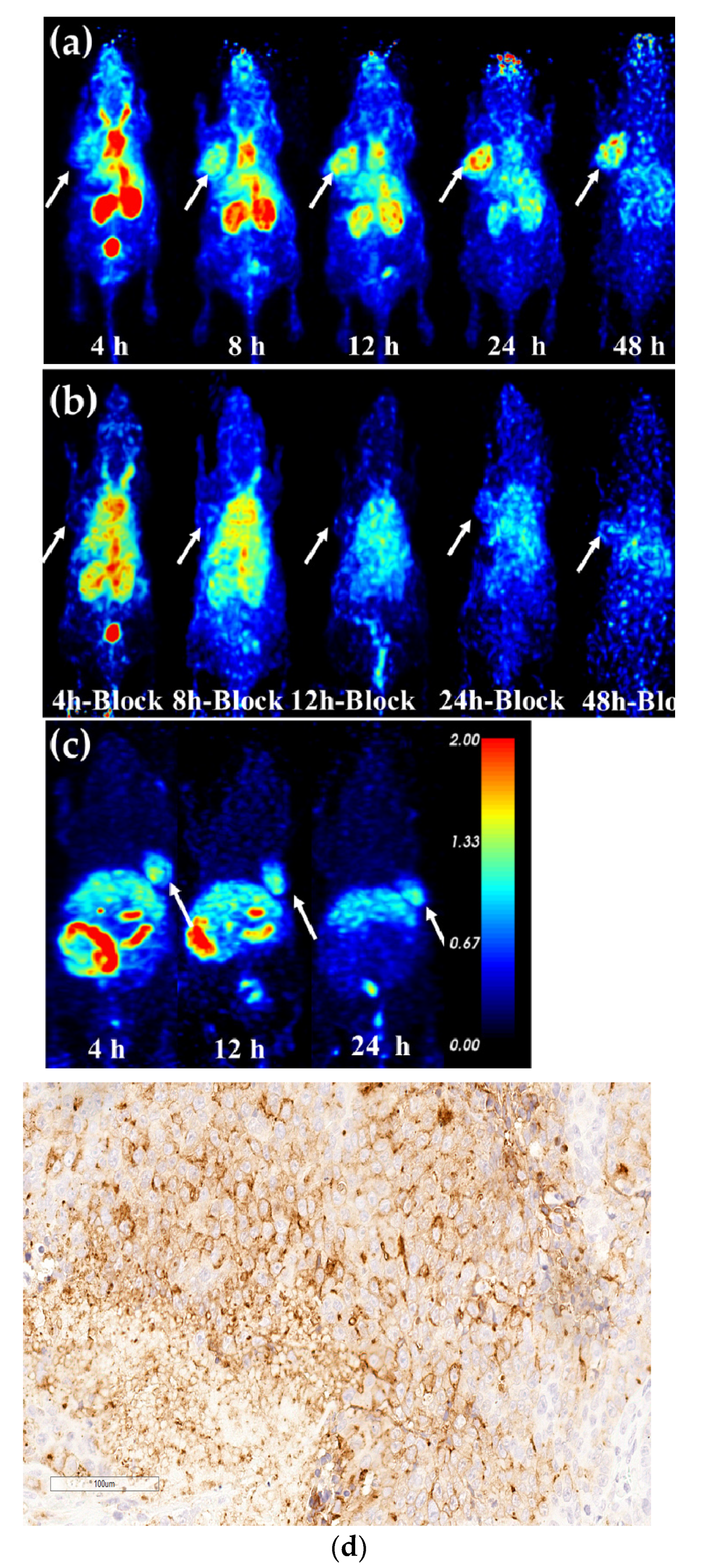 Pharmaceuticals 15 00513 g007