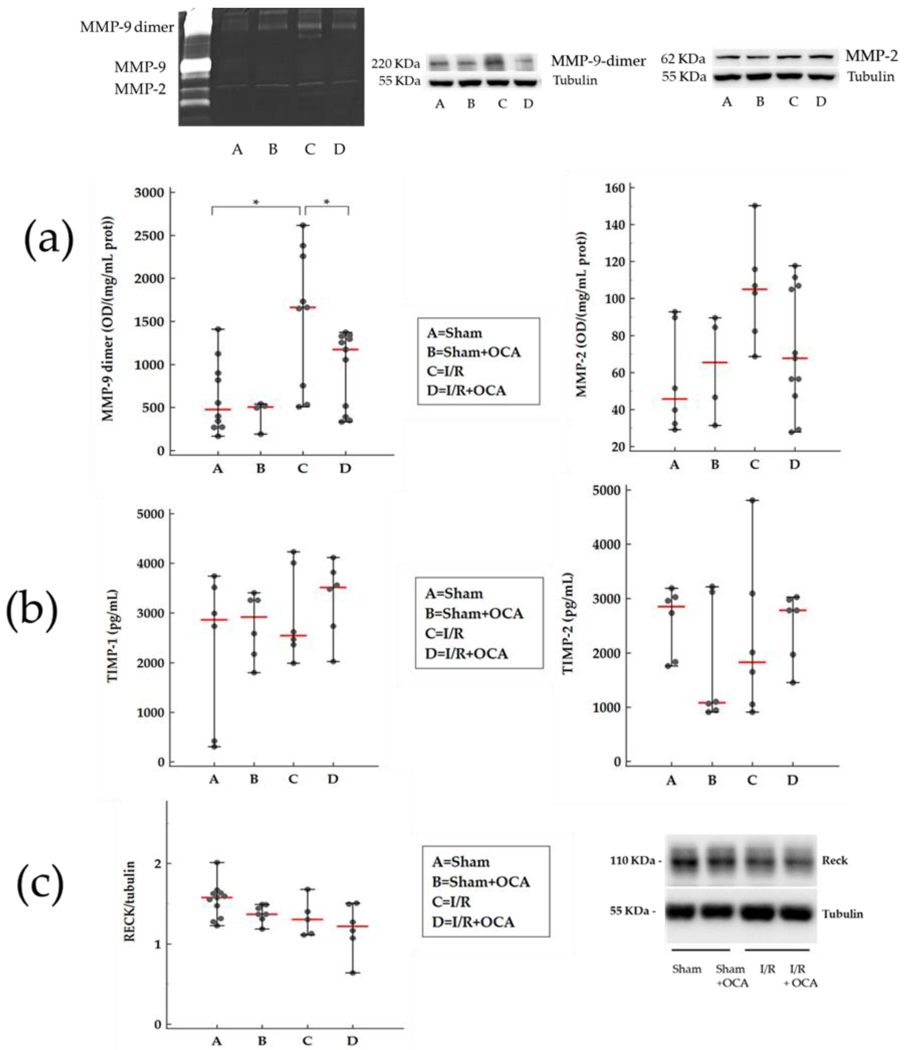 Pharmaceuticals 15 00524 g001