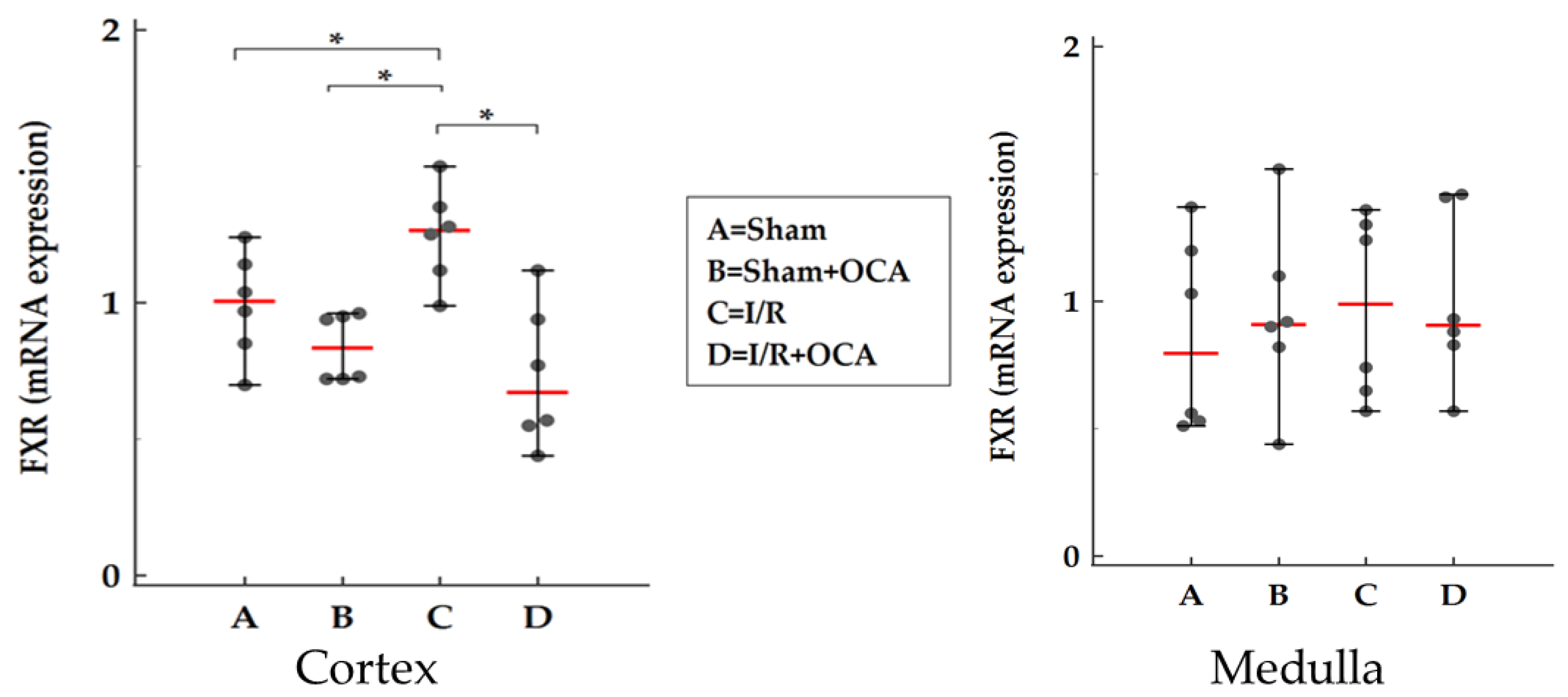 Pharmaceuticals 15 00524 g005