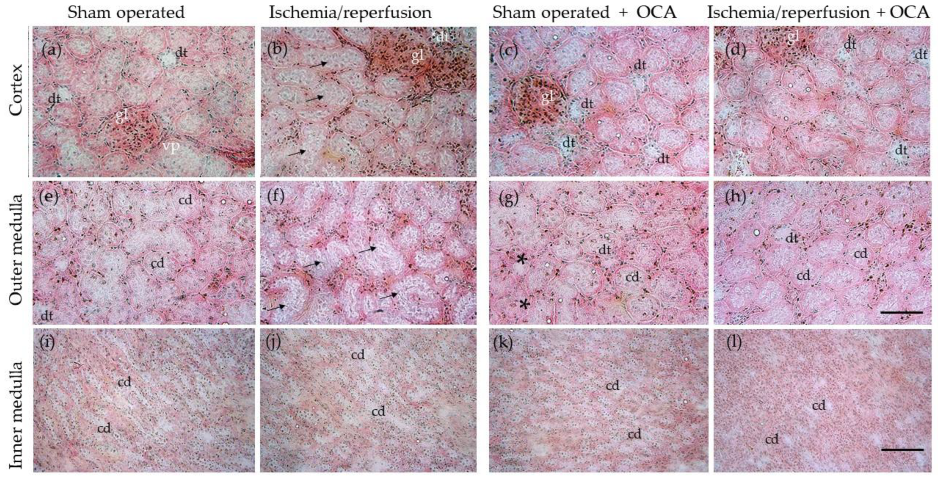 Pharmaceuticals 15 00524 g007