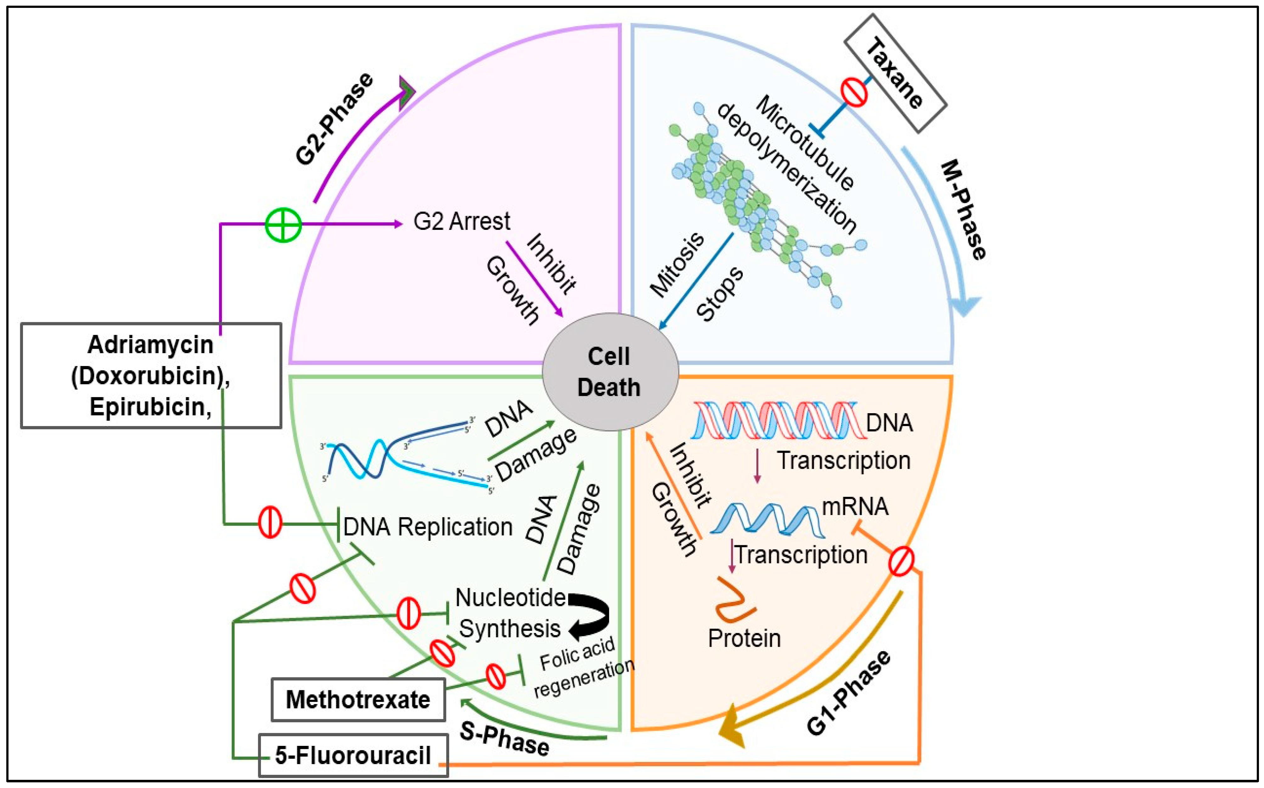 Pharmaceuticals 15 00542 g004