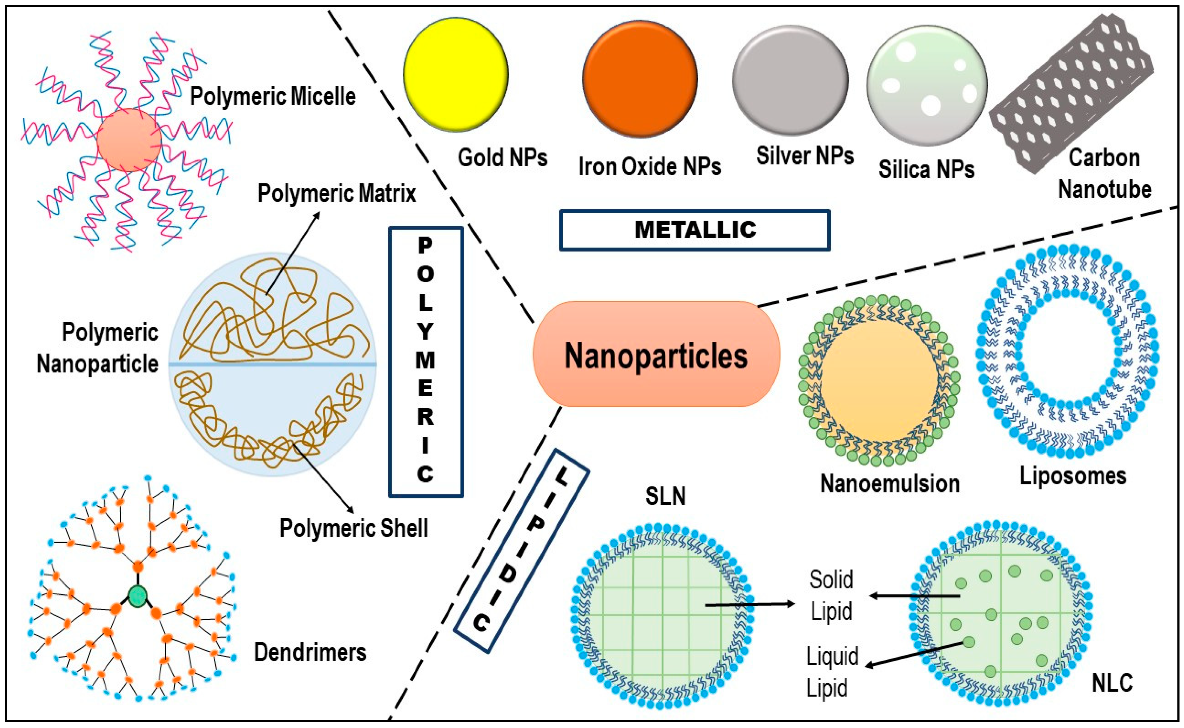 Pharmaceuticals 15 00542 g005