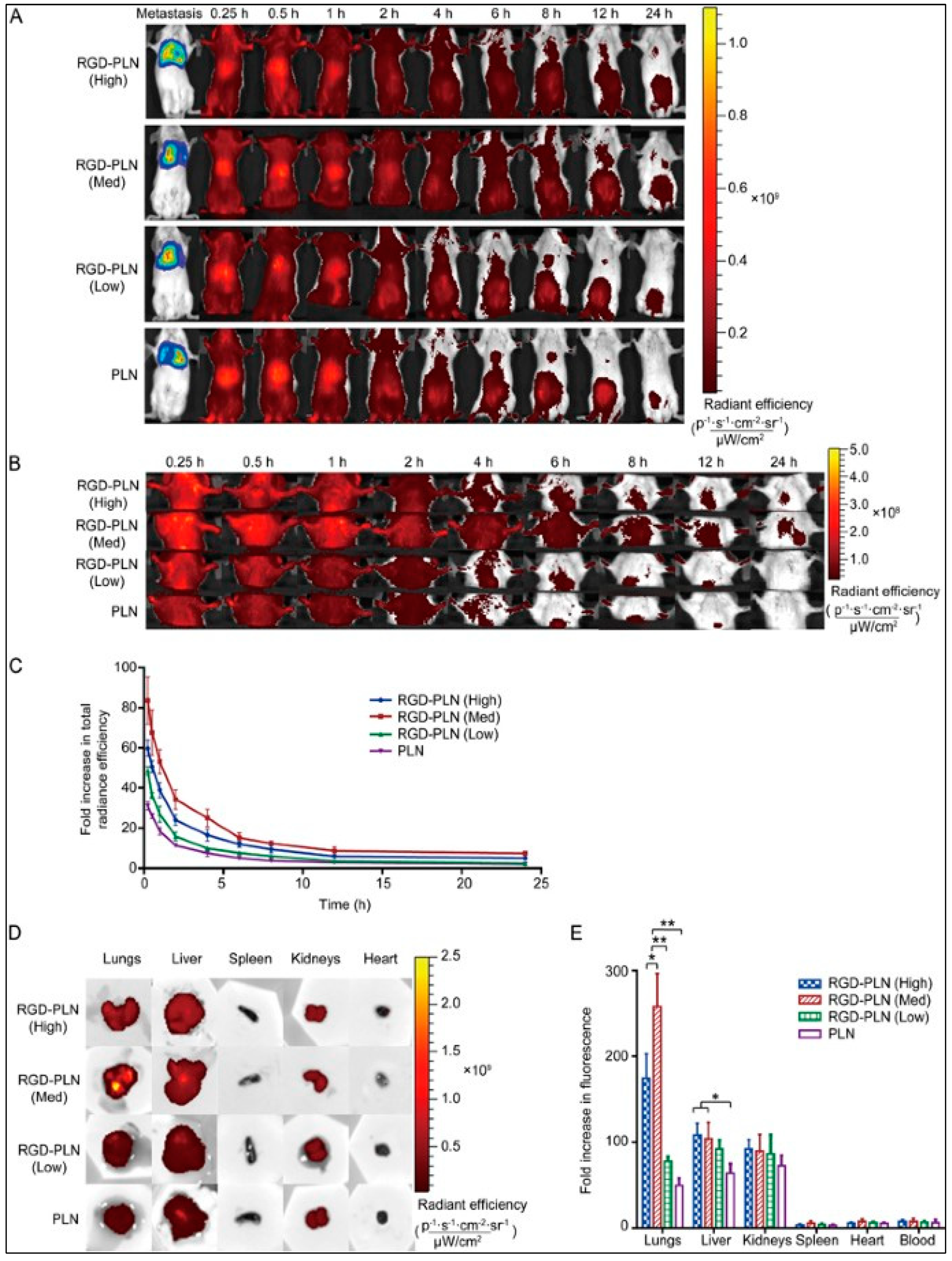 Pharmaceuticals 15 00542 g008
