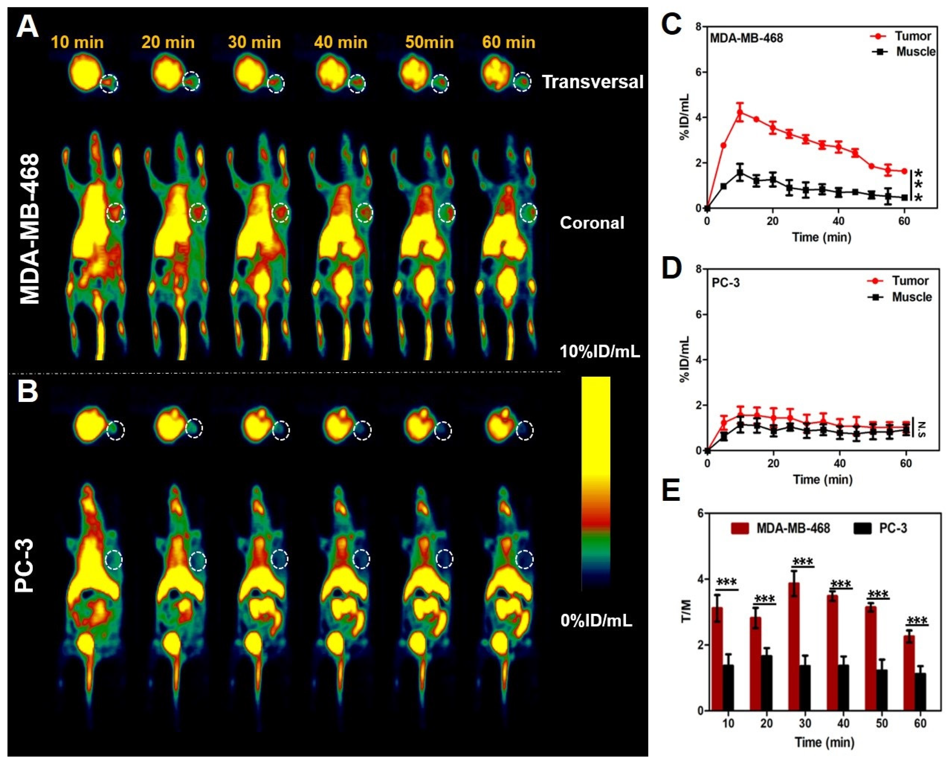 Pharmaceuticals 15 00543 g005