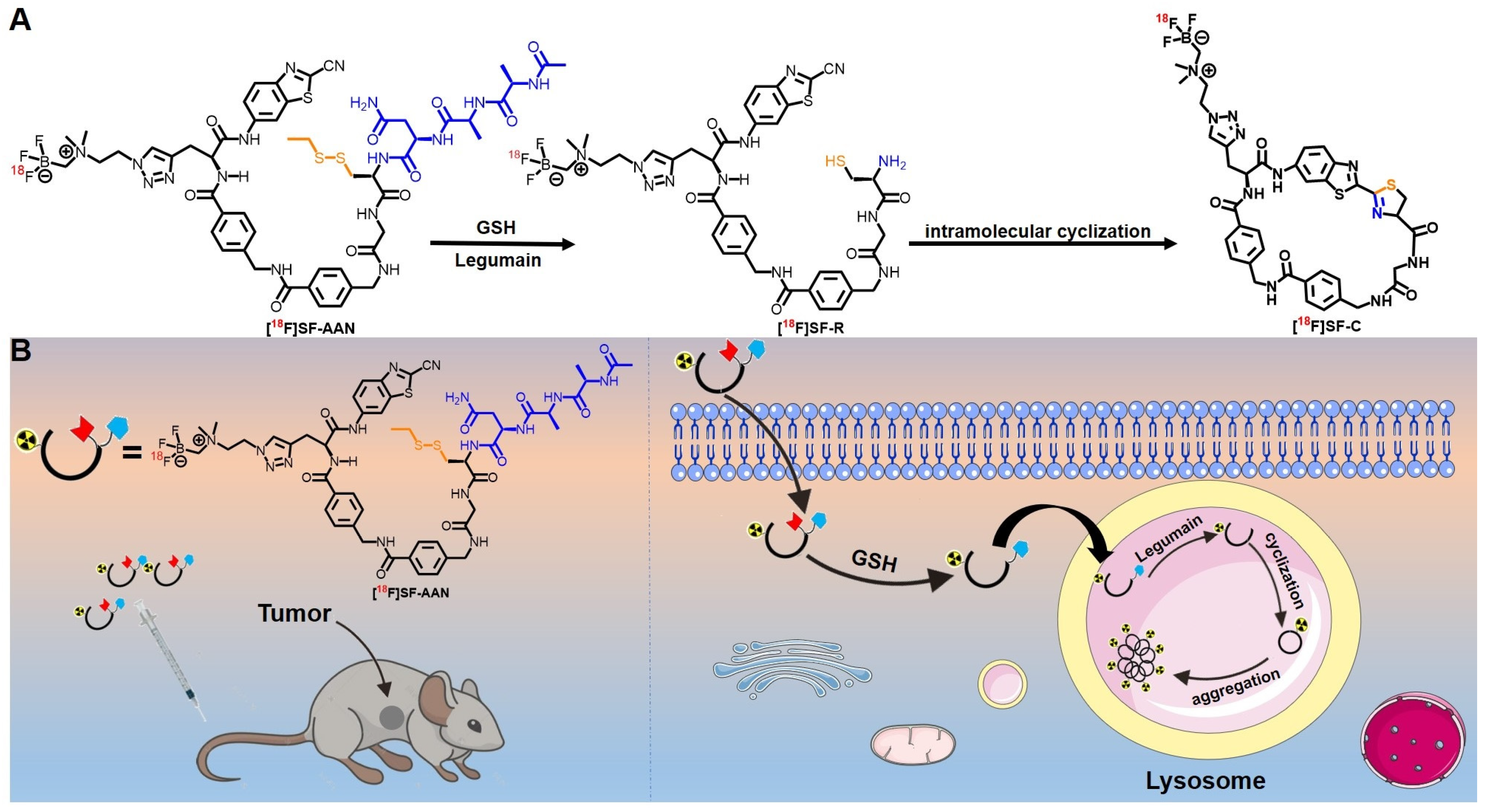 Pharmaceuticals 15 00543 sch001