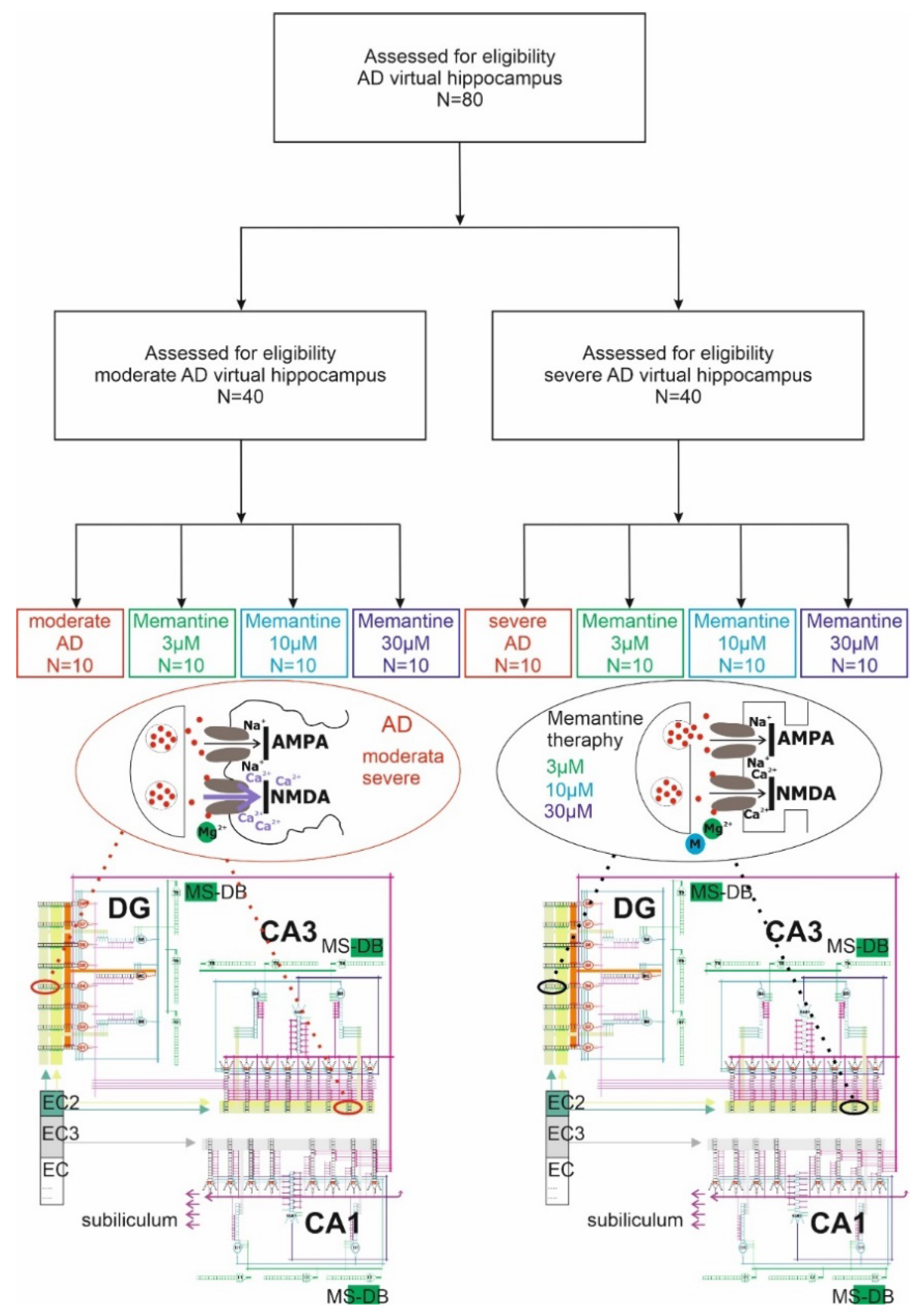 Pharmaceuticals 15 00546 g004