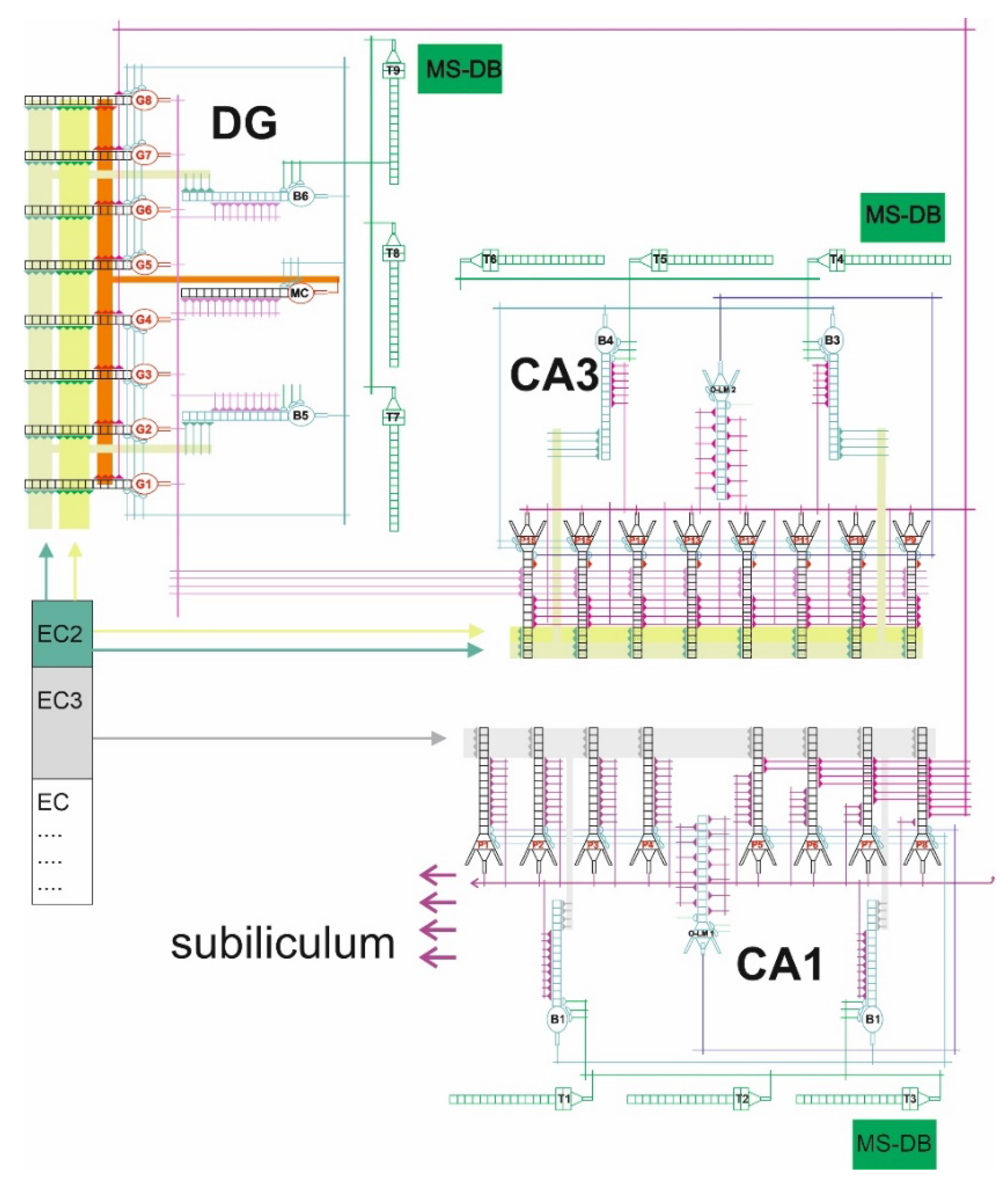 Pharmaceuticals 15 00546 g005