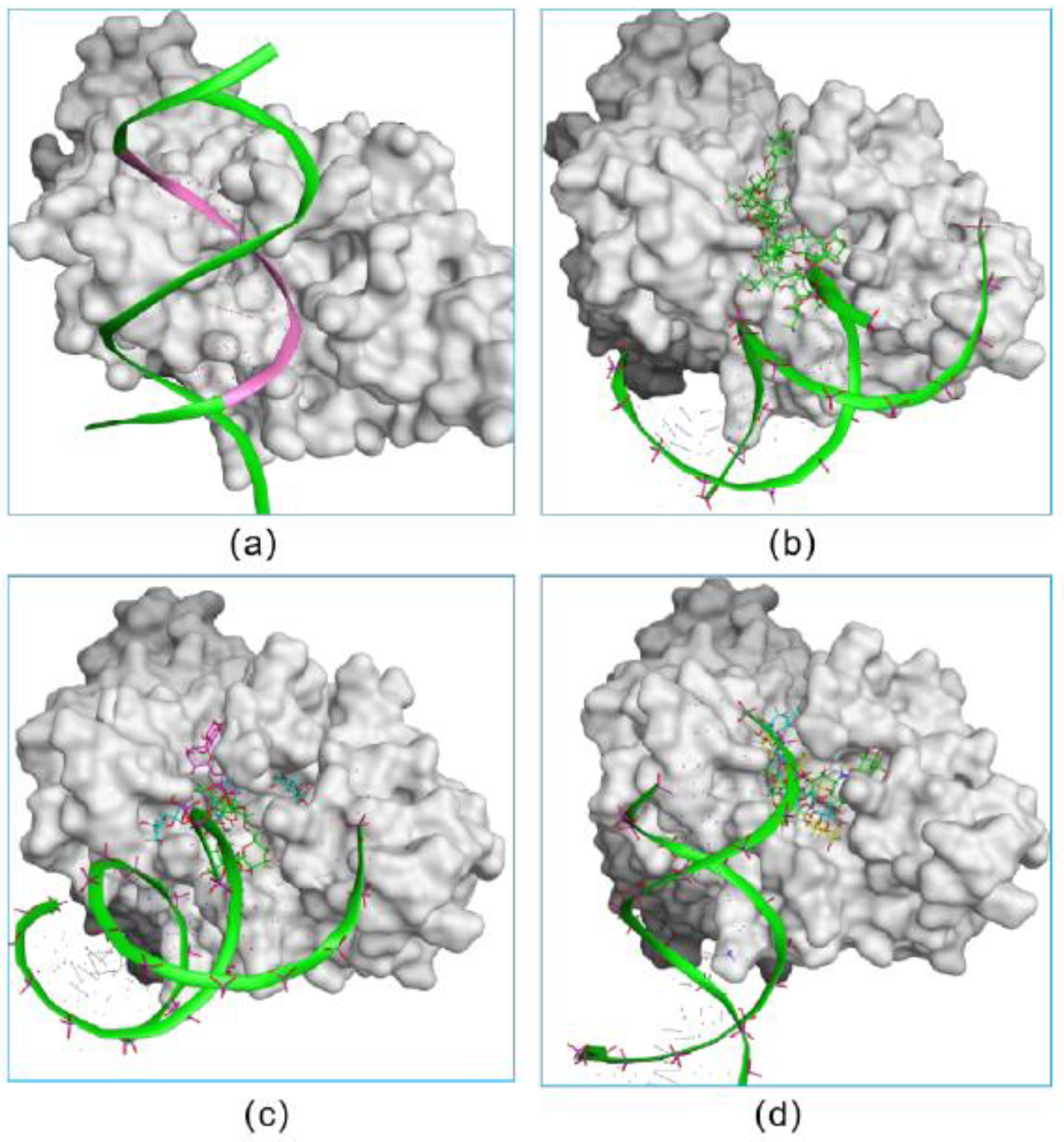 Pharmaceuticals 15 00556 g003