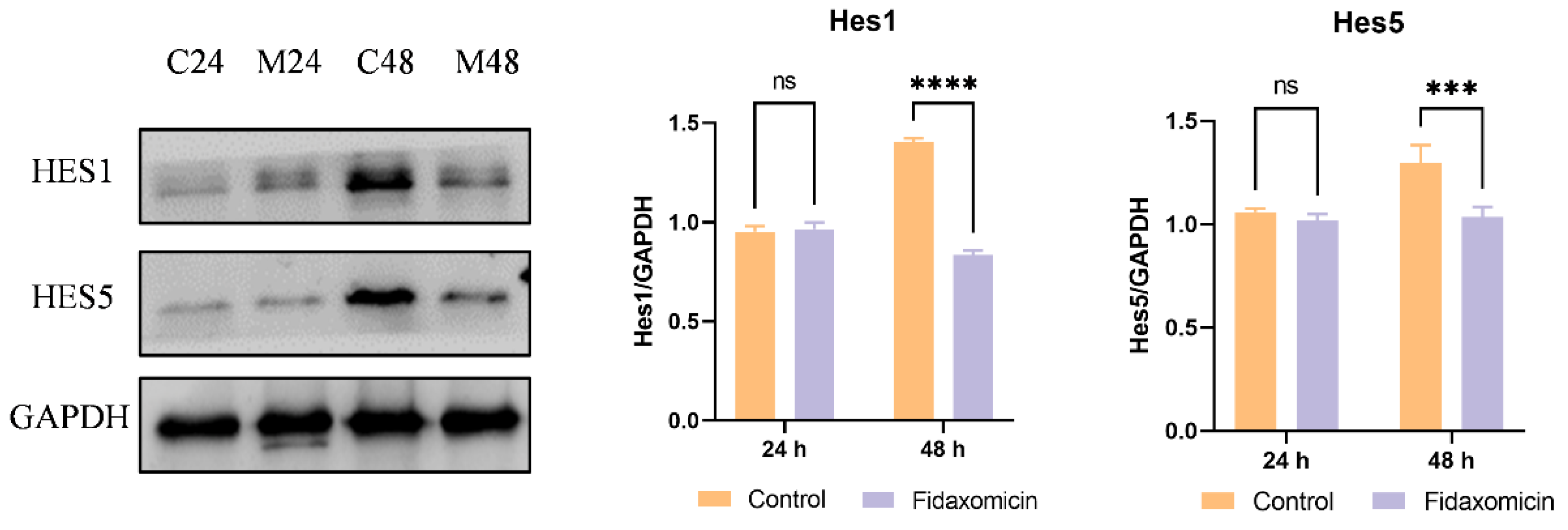 Pharmaceuticals 15 00556 g008