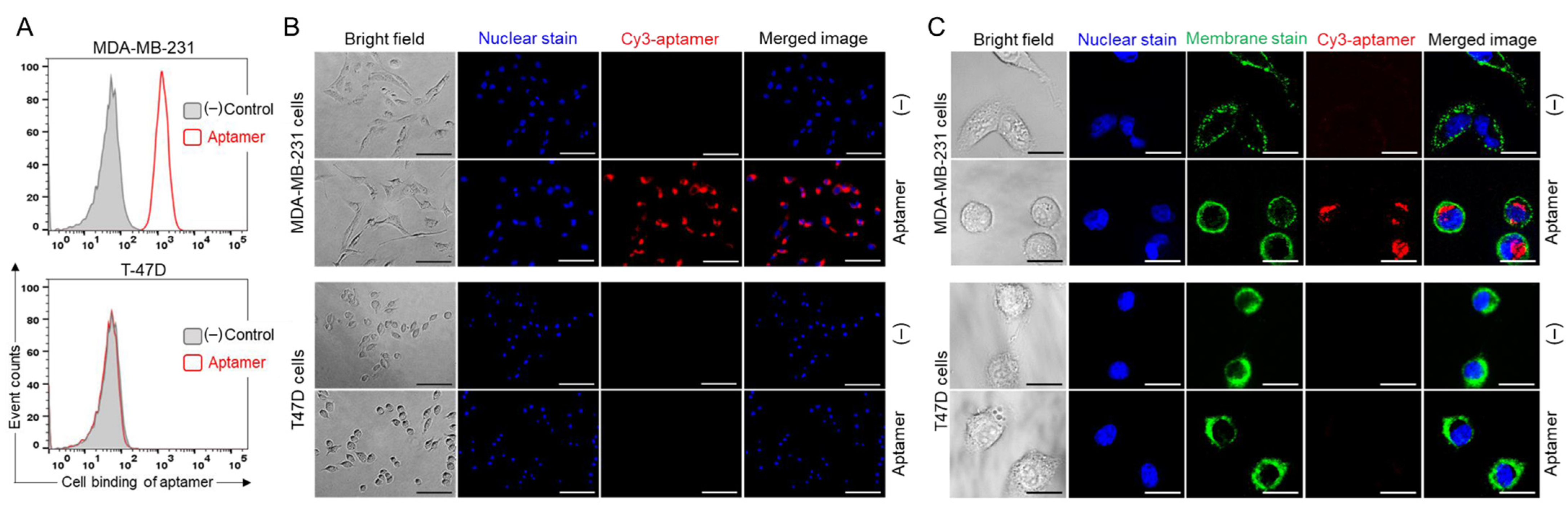 Pharmaceuticals 15 00558 g004