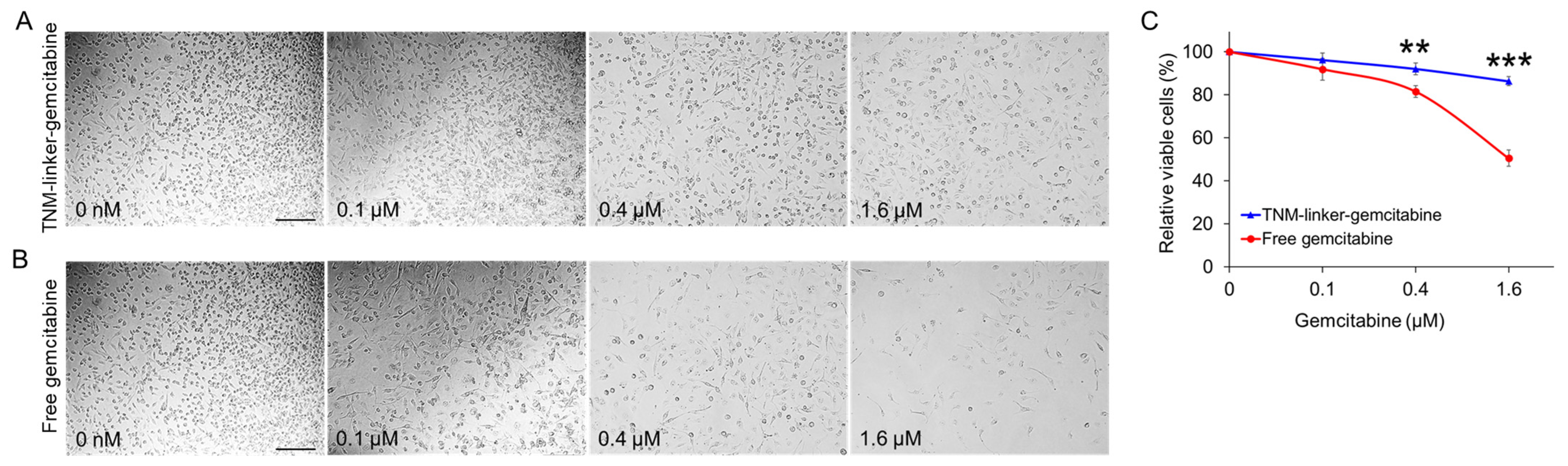 Pharmaceuticals 15 00558 g005
