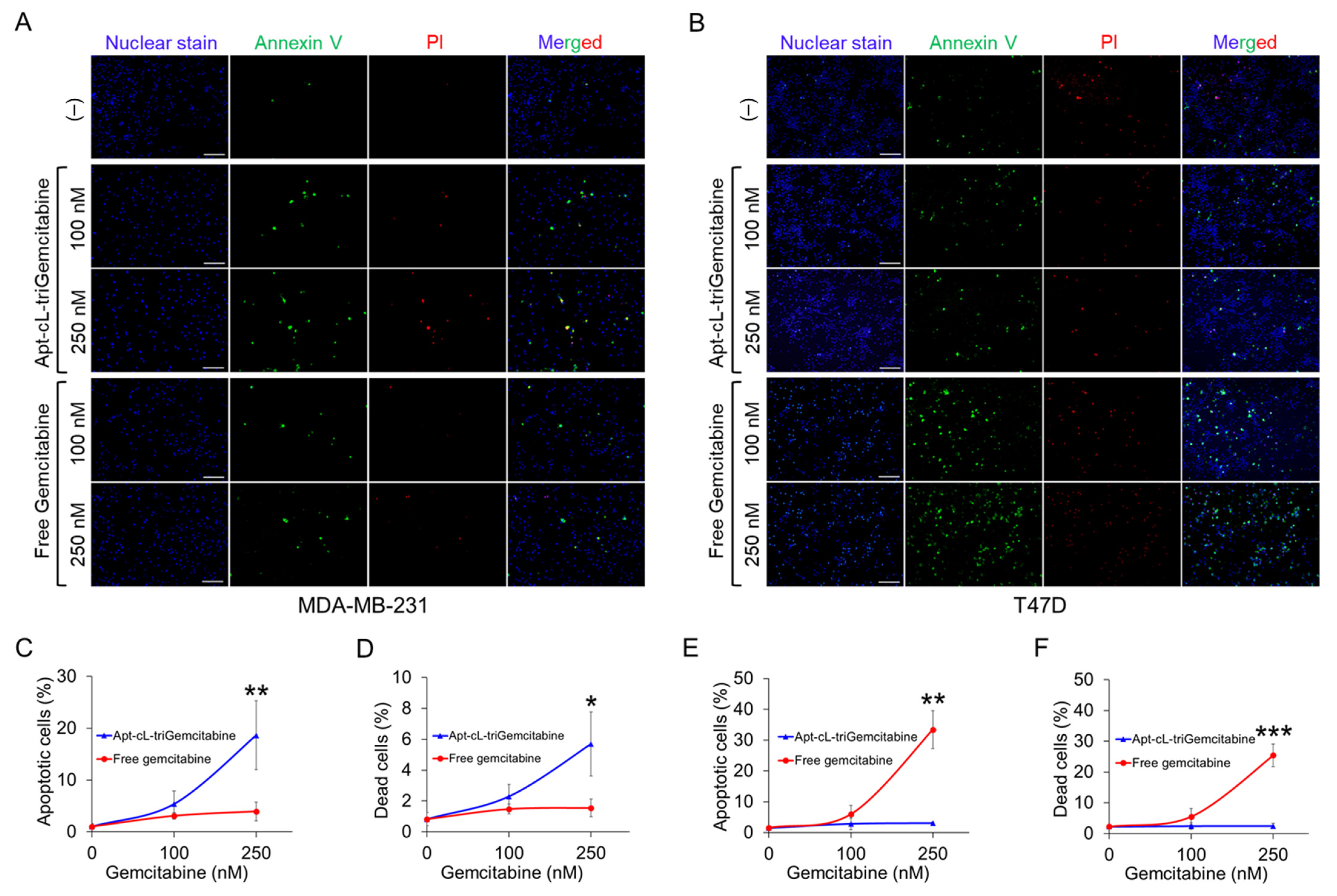 Pharmaceuticals 15 00558 g006