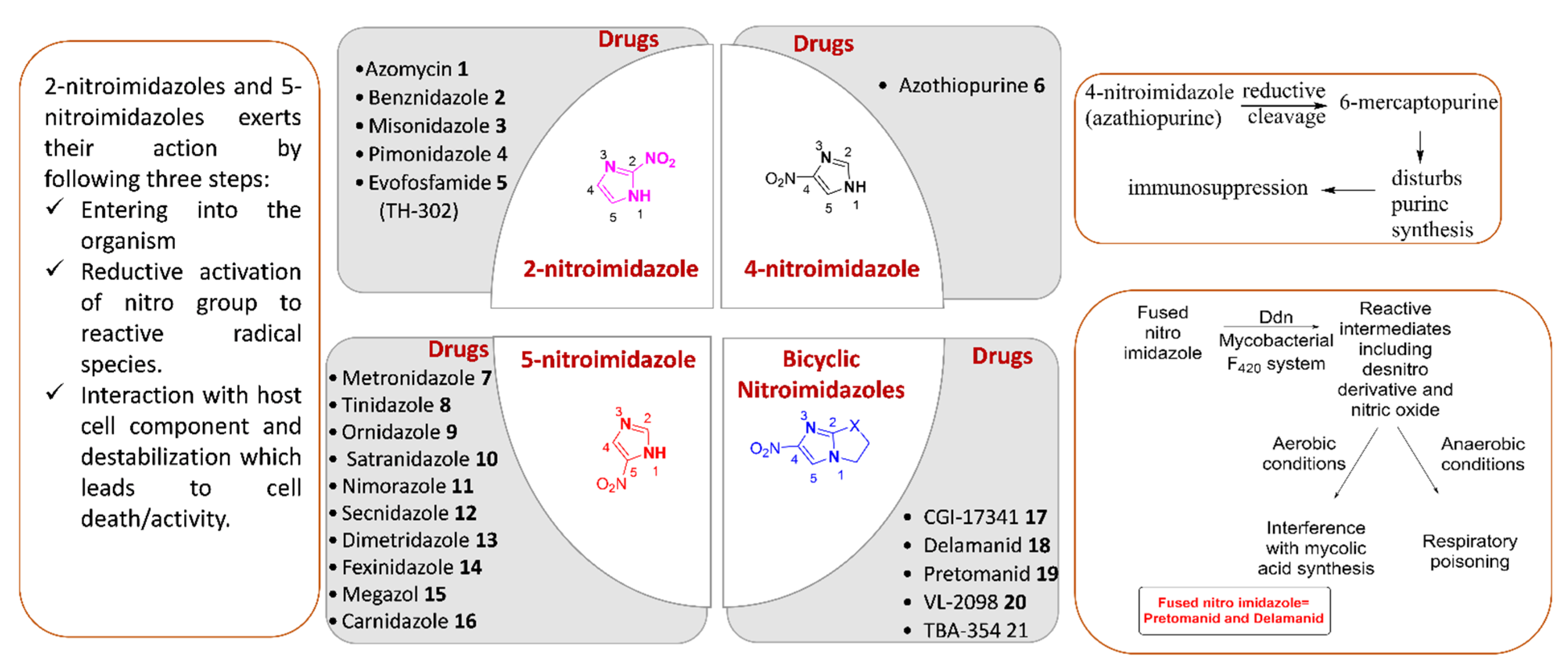 Pharmaceuticals 15 00561 g004