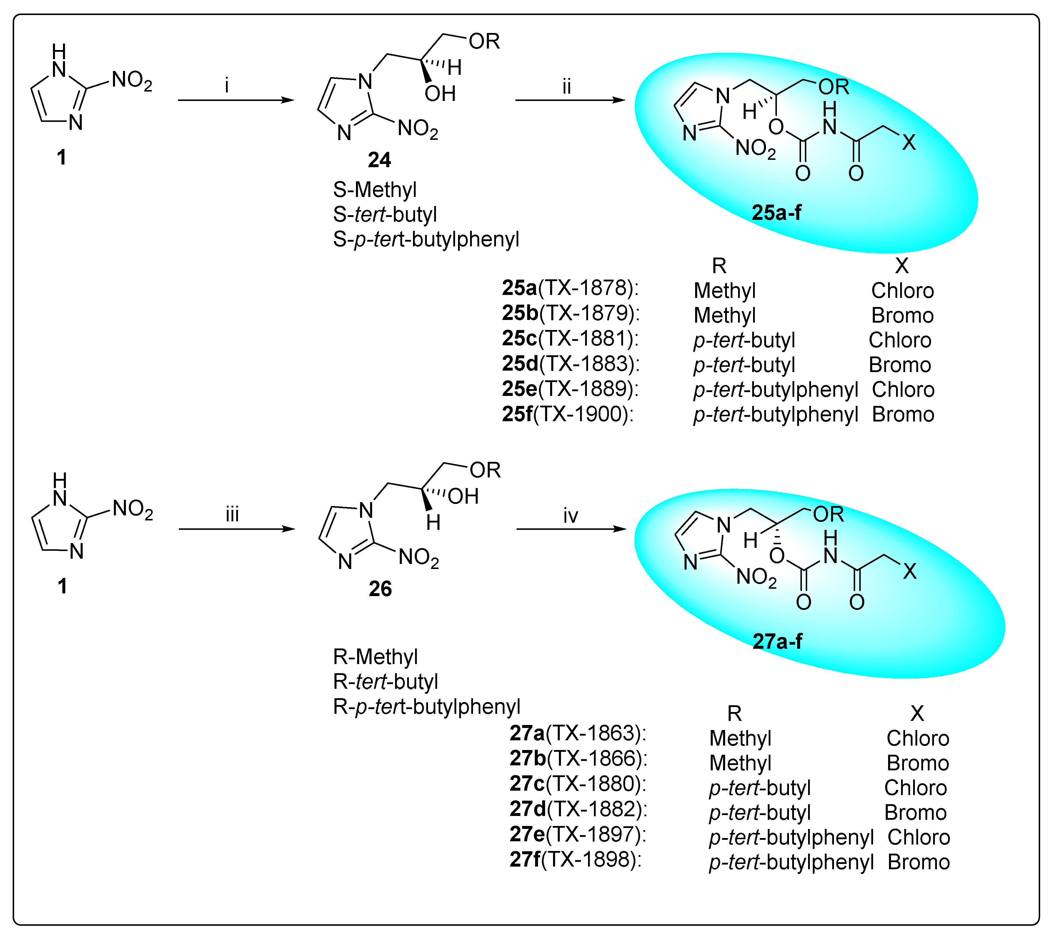 Pharmaceuticals 15 00561 sch005