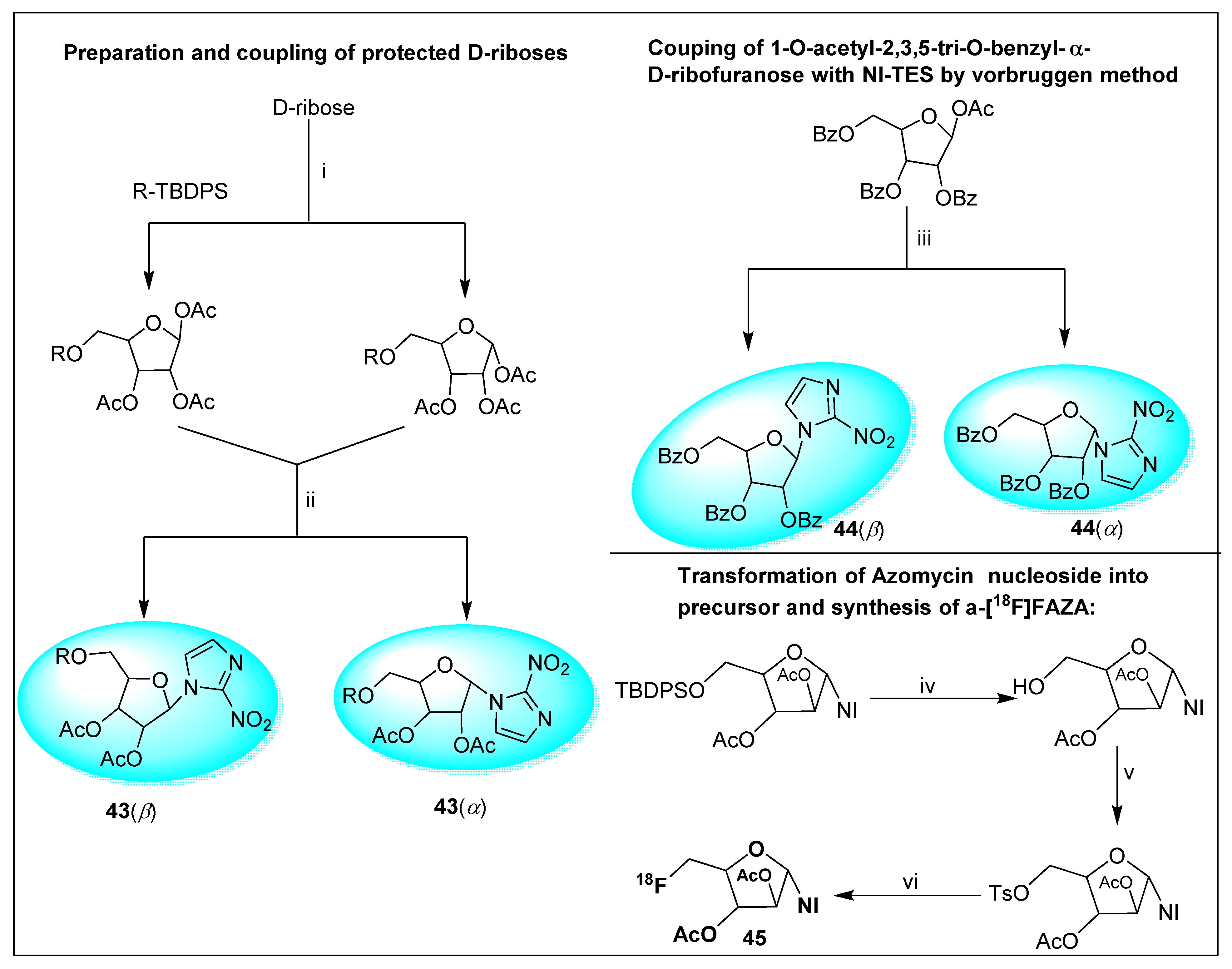 Pharmaceuticals 15 00561 sch015