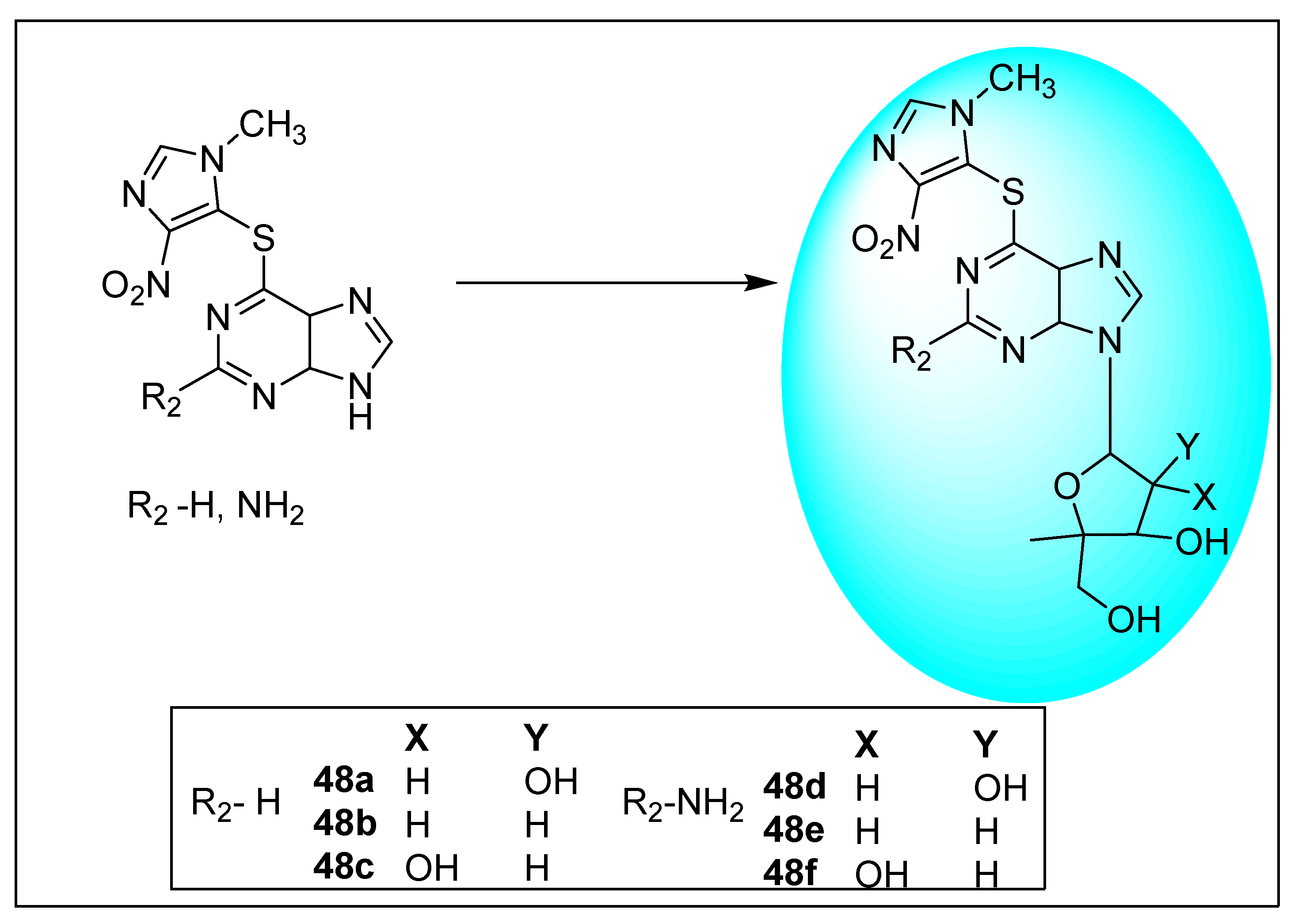Pharmaceuticals 15 00561 sch018