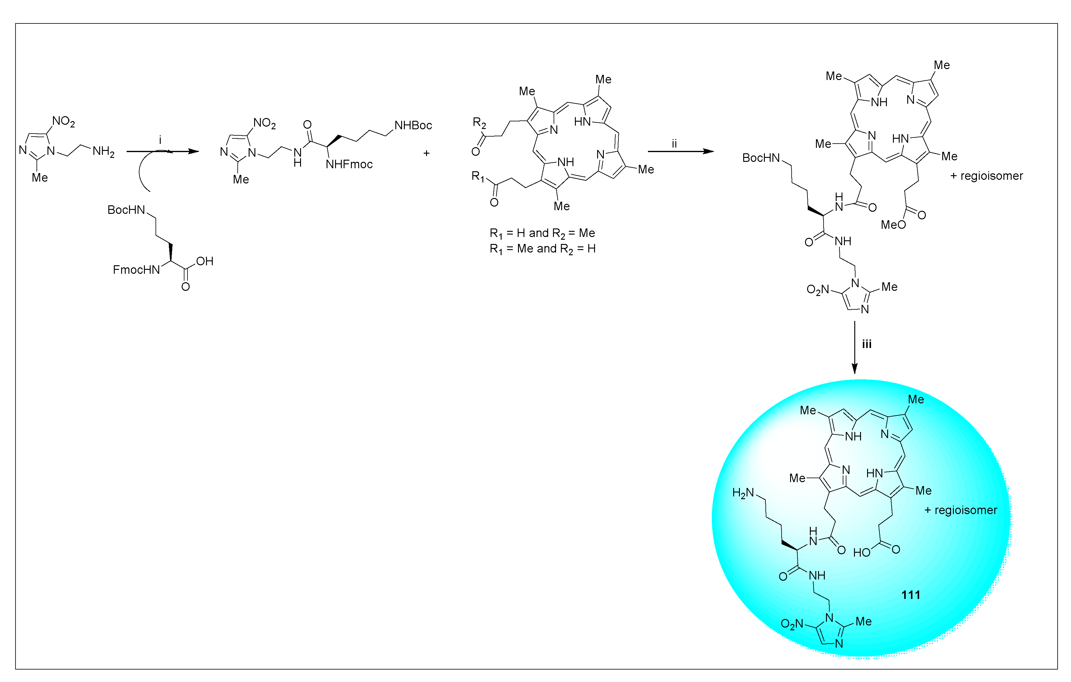 Pharmaceuticals 15 00561 sch054