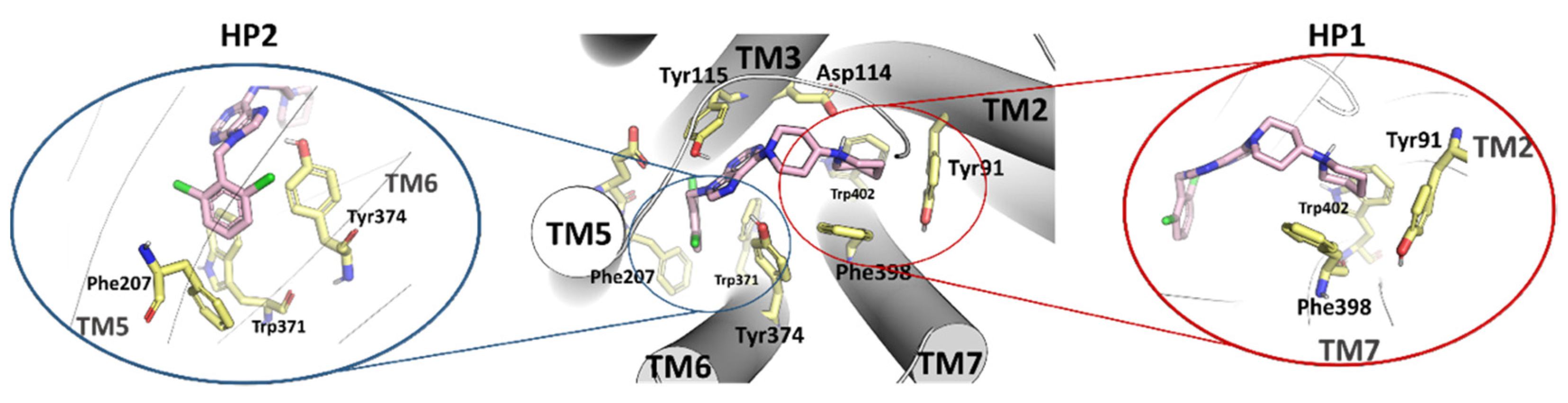 Pharmaceuticals 15 00573 g004
