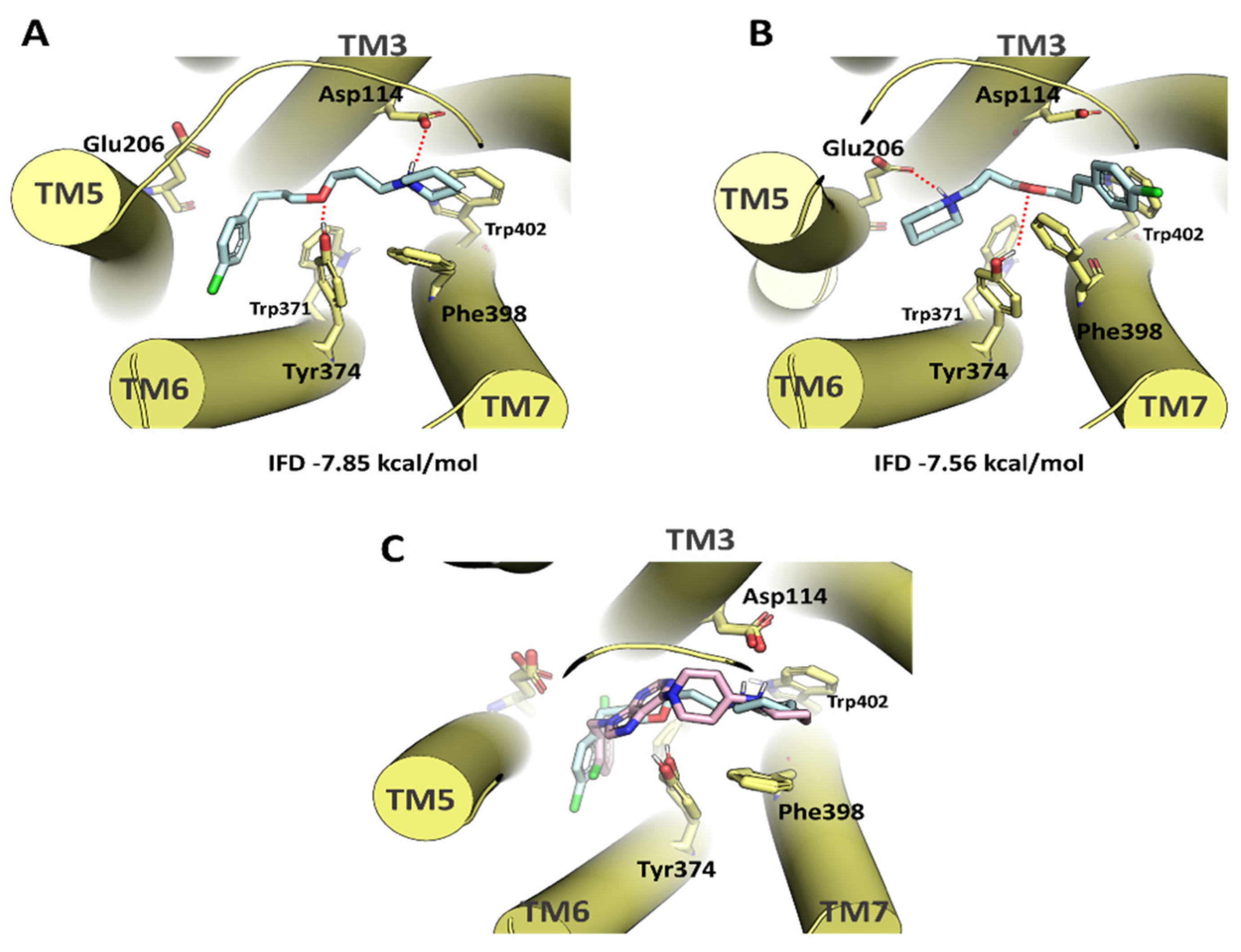Pharmaceuticals 15 00573 g005