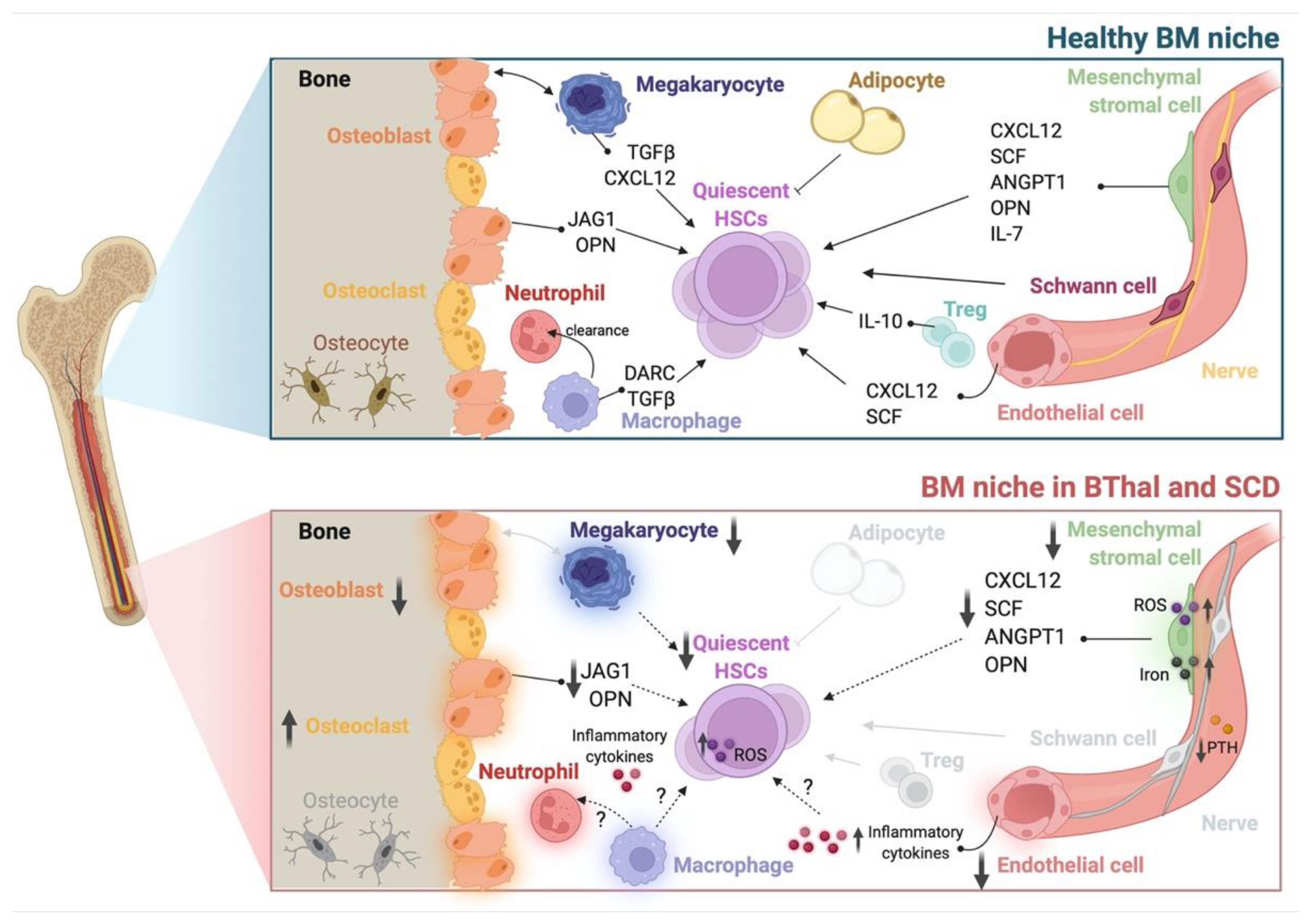 Pharmaceuticals 15 00592 g001