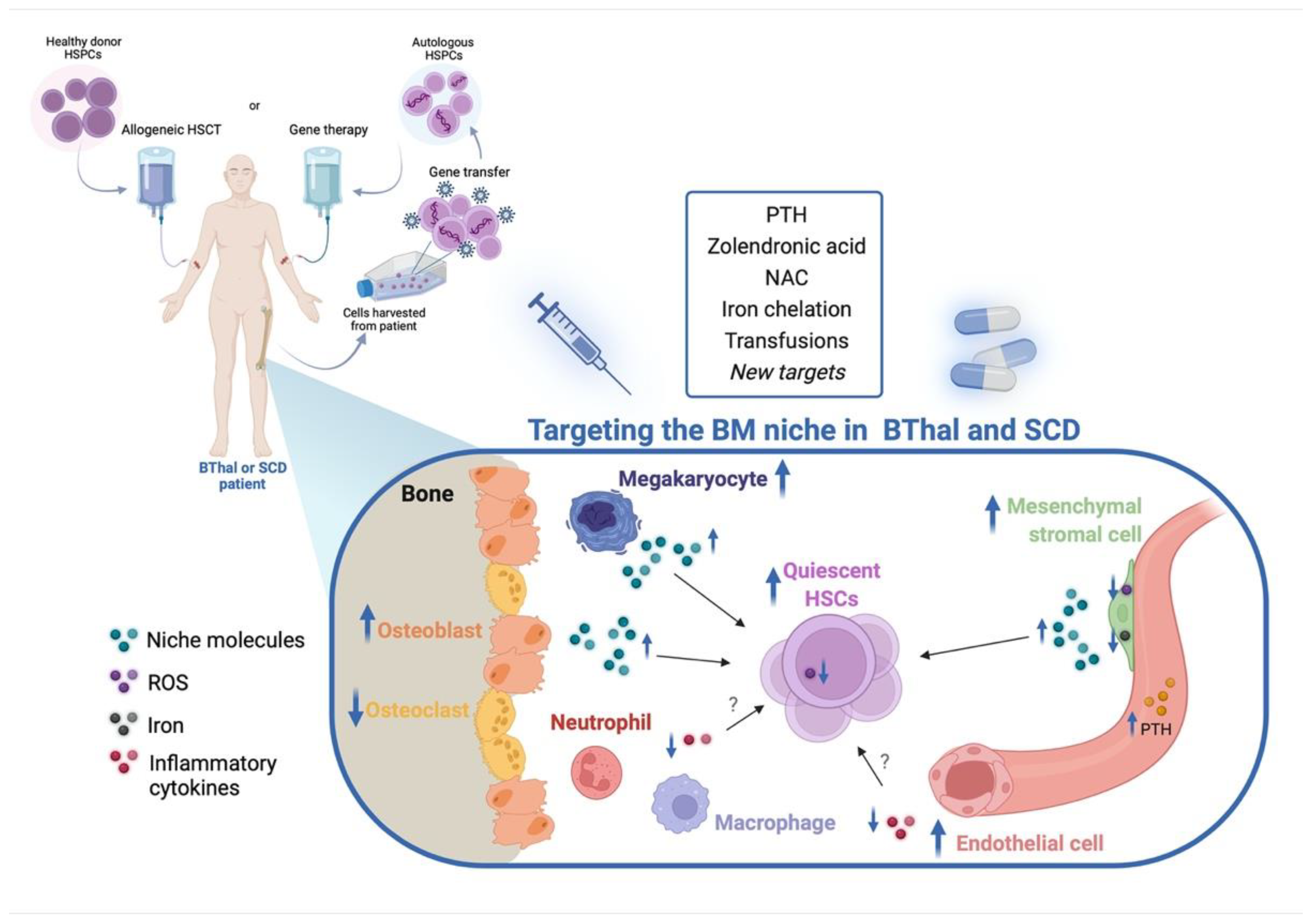 Pharmaceuticals 15 00592 g002
