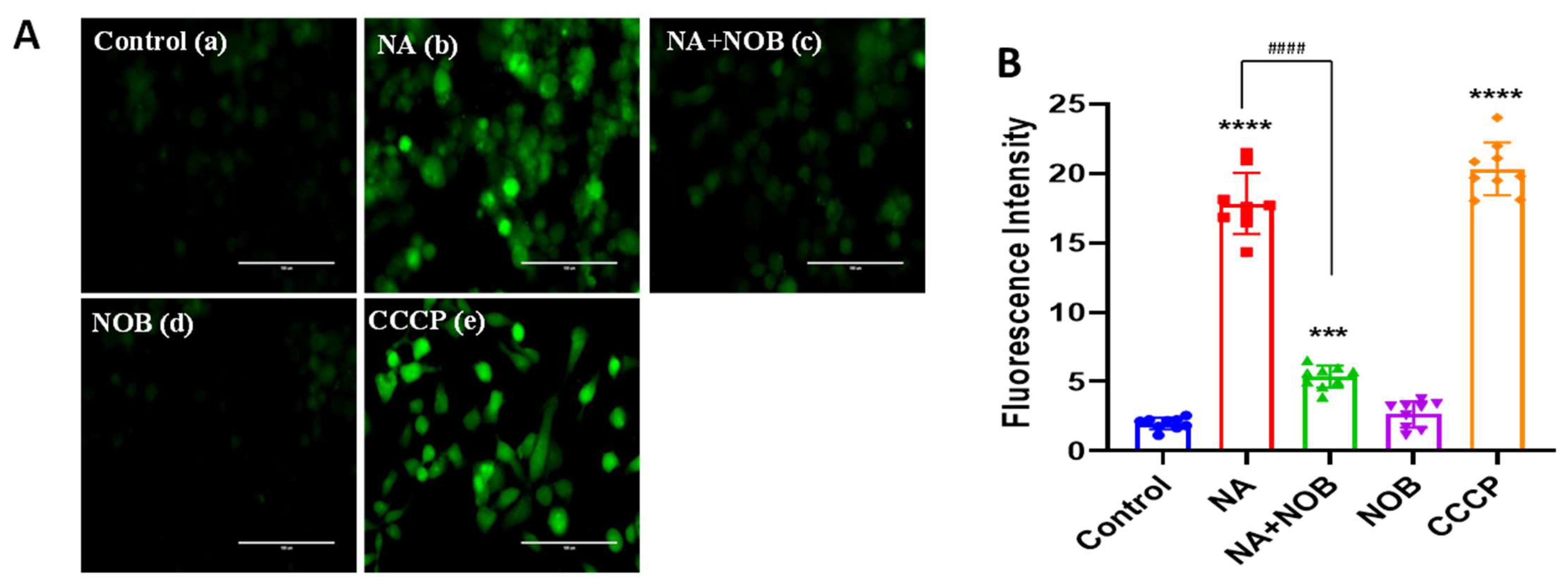 Pharmaceuticals 15 00593 g003