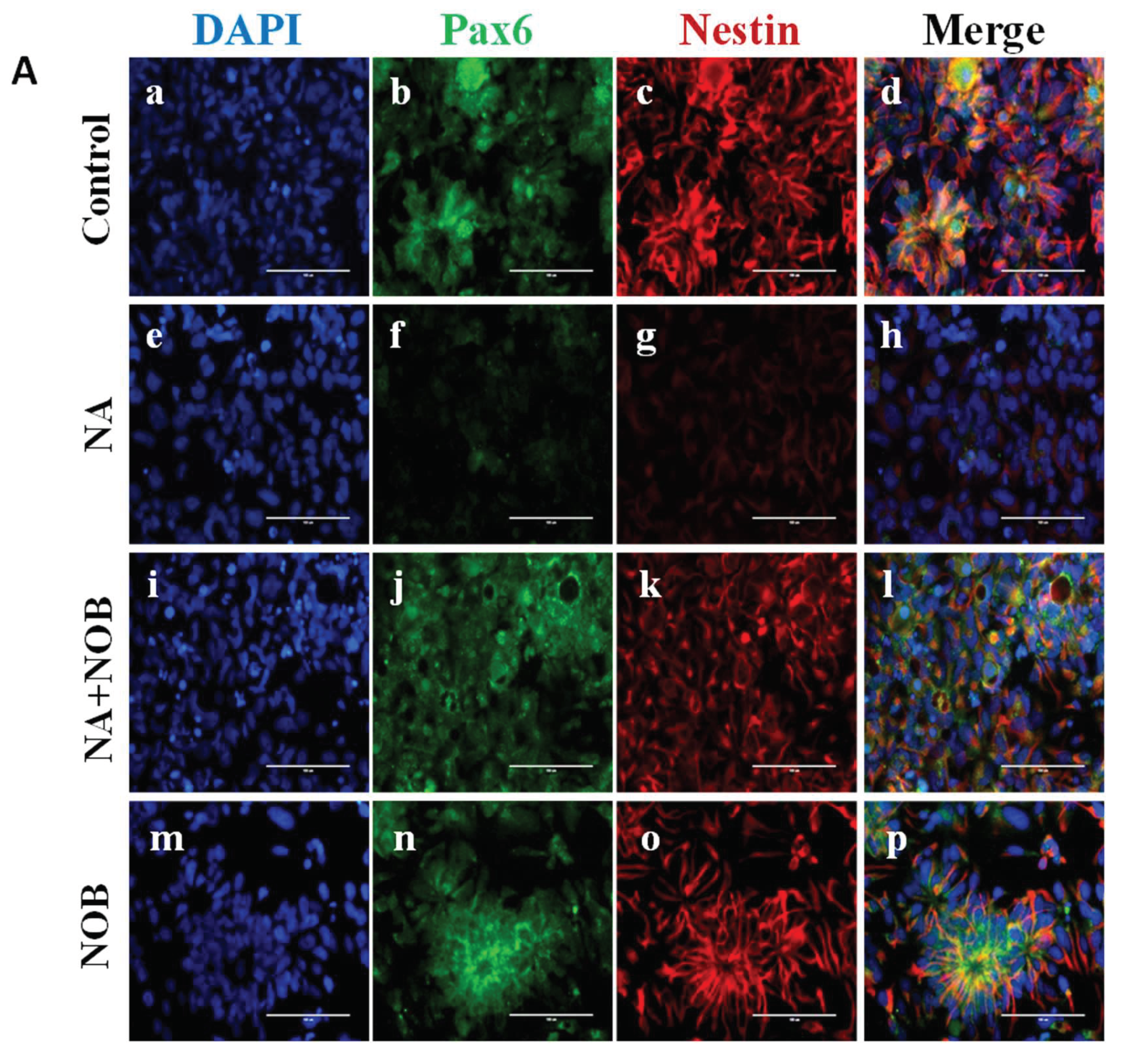Pharmaceuticals 15 00593 g005a
