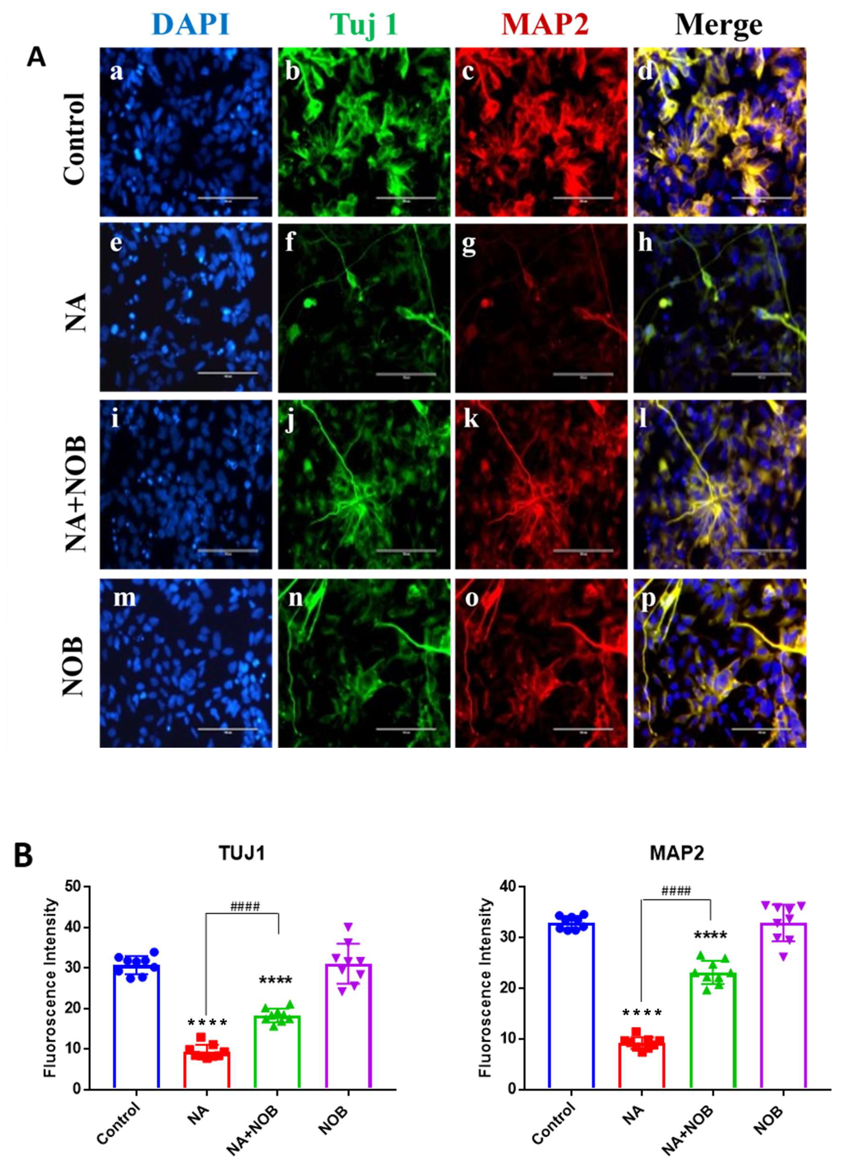 Pharmaceuticals 15 00593 g006