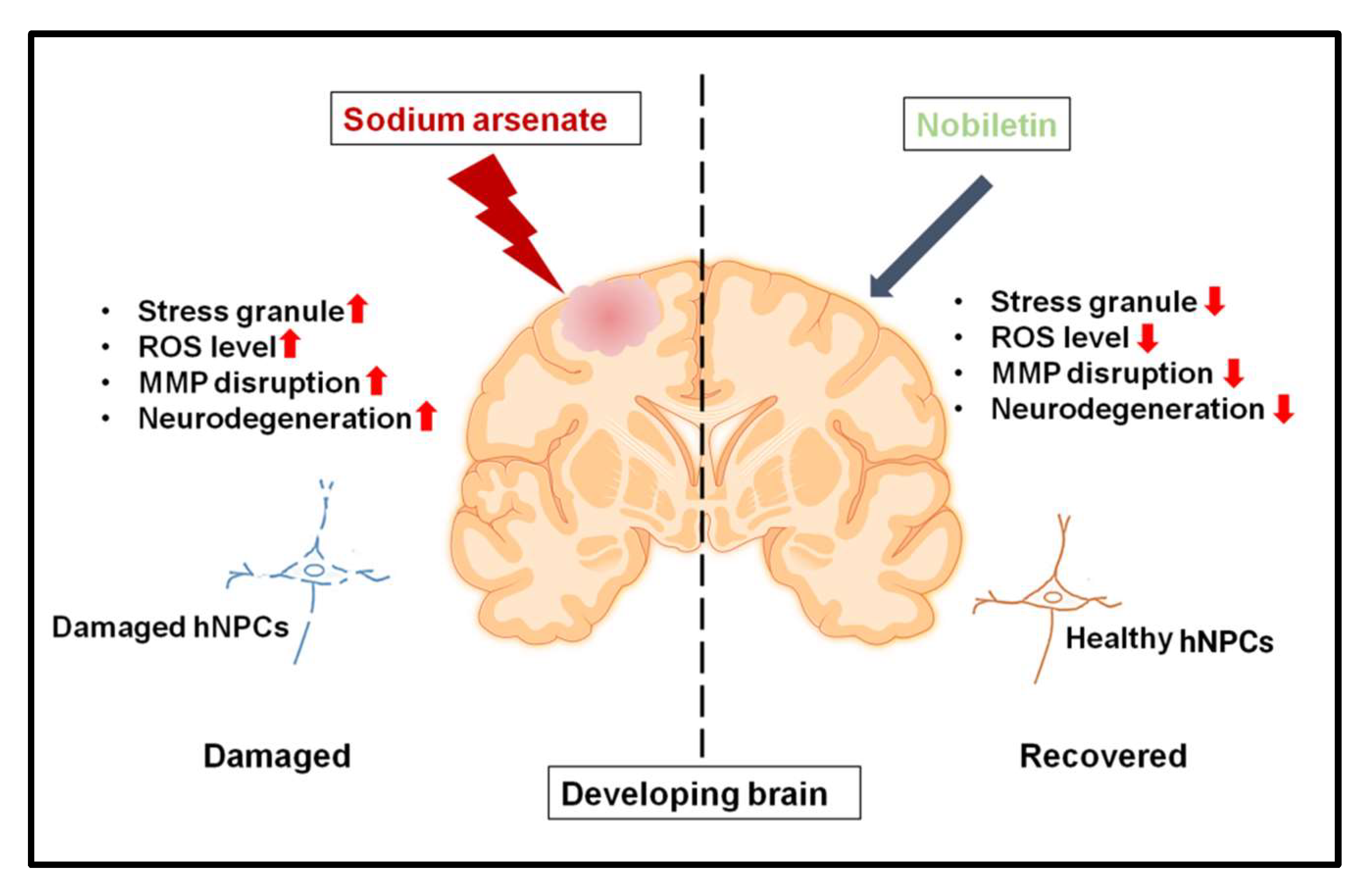 Pharmaceuticals 15 00593 g008