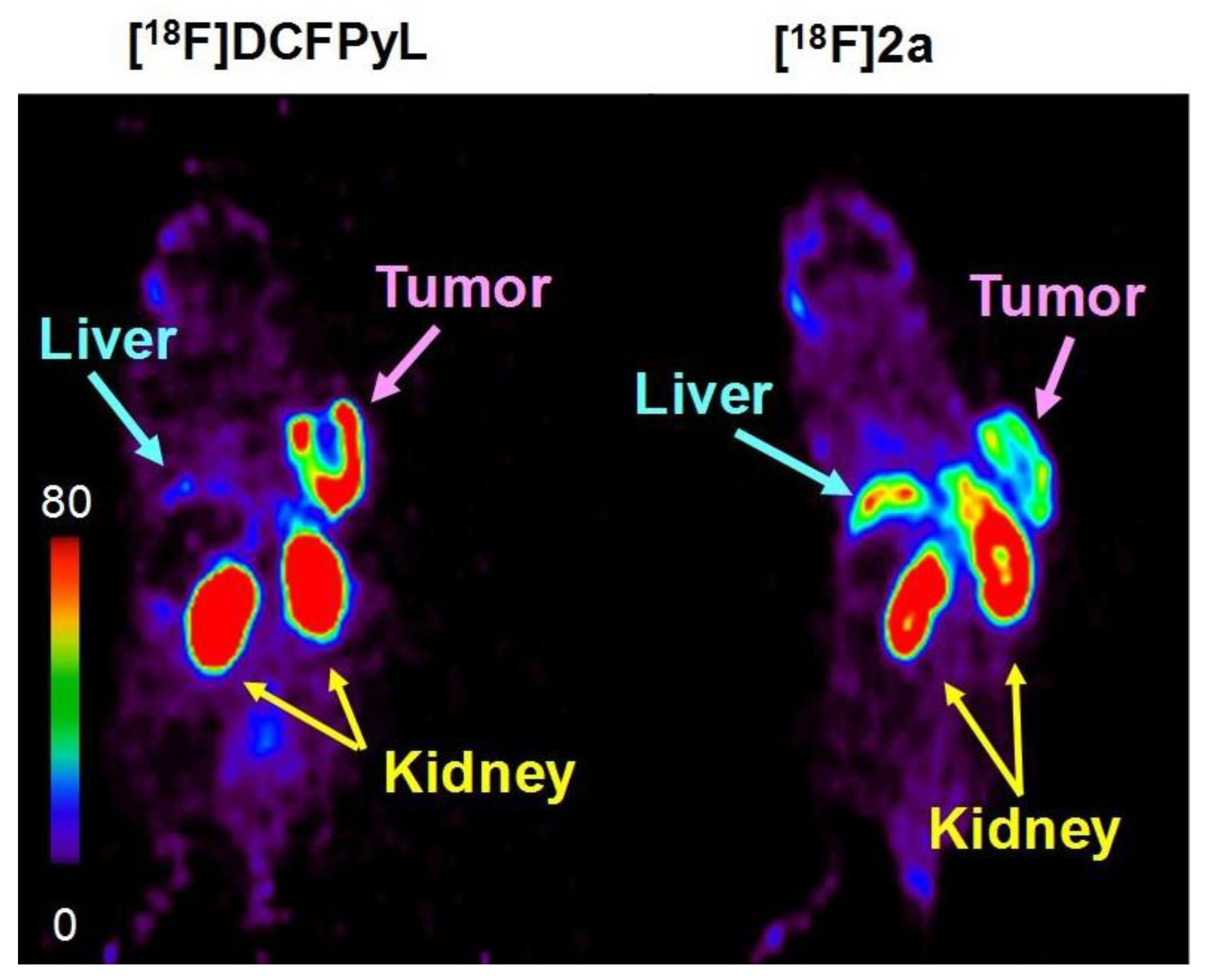 Pharmaceuticals 15 00597 g007