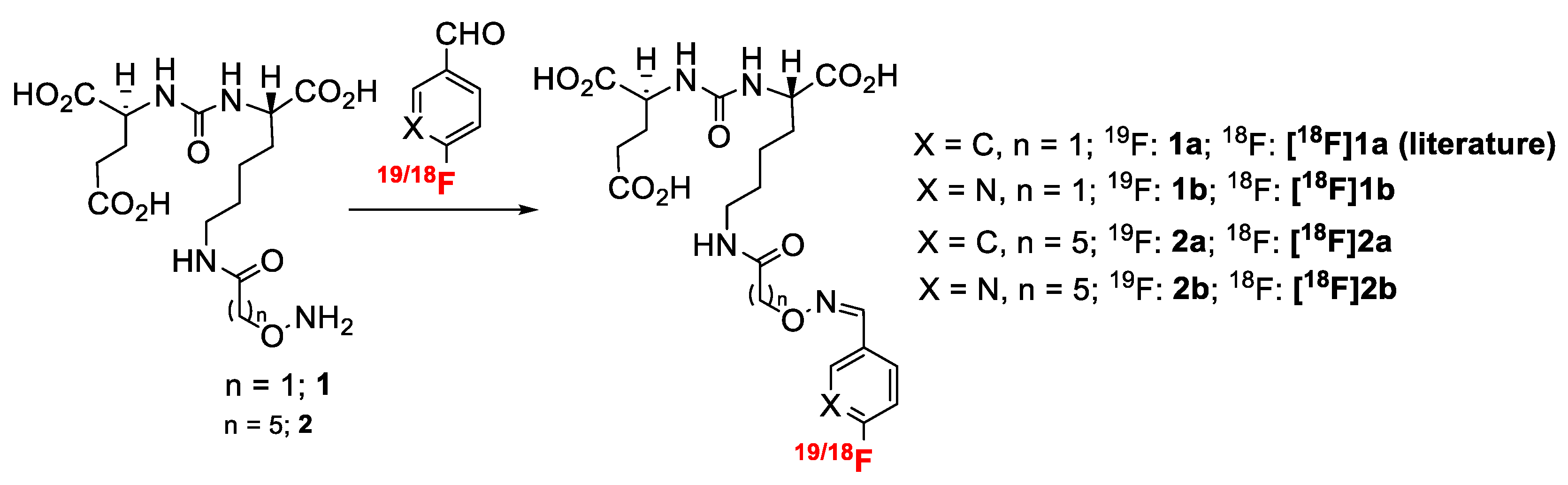 Pharmaceuticals 15 00597 sch001